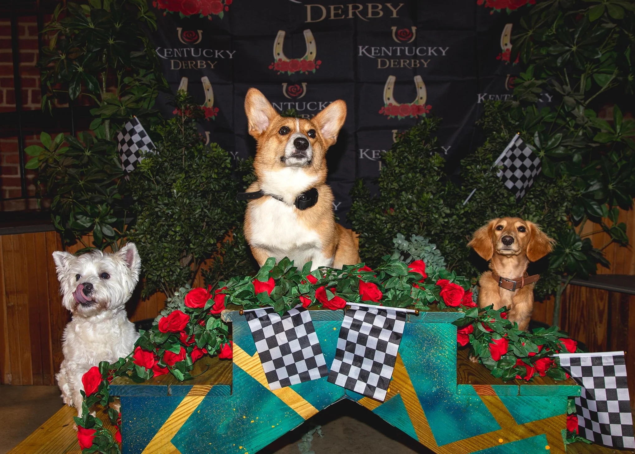 3rd Annual Park-9 Derby