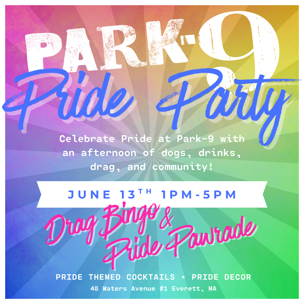 Park-9 Pride PArty