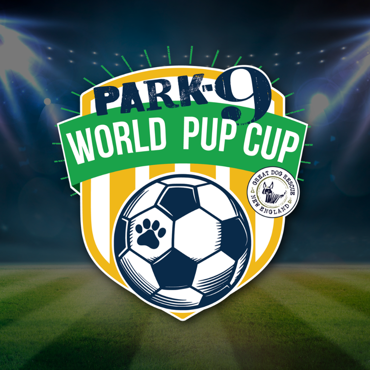 Park-9 World Pup Cup