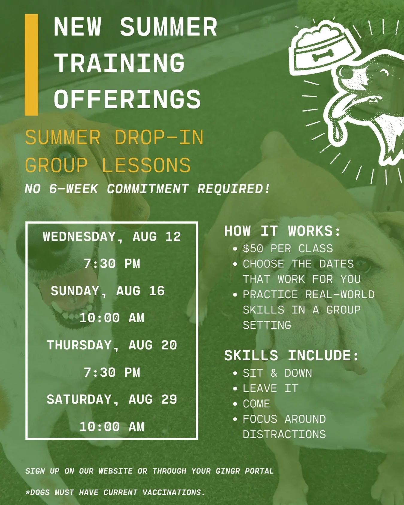 Training that fits your summer schedule.
Our Summer Drop-In Group Lessons are here, giving you the flexibility to choose the classes that work for you. No 6-week commitment required.

$50 per class
Choose your dates
Practice real-world skills
Learn i