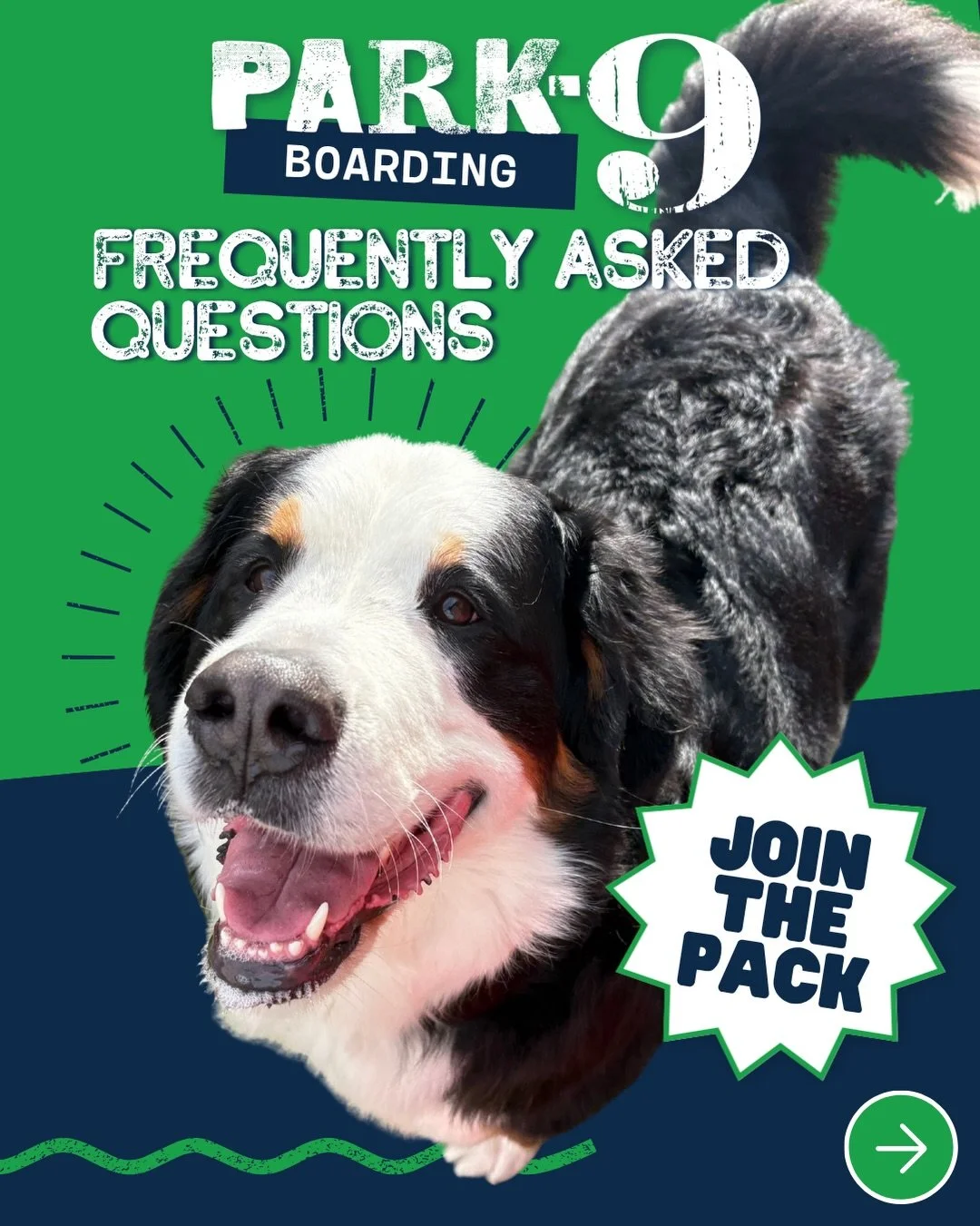 Boarding FAQs, answered!

We are SO EXCITED to have your dog with us overnight! Here&rsquo;s what you need to know about staff, drop-off and pick-up, daycare, and what your pup&rsquo;s stay looks like!

#dogboarding #dogdaycarelife #dogdaycarefun #do
