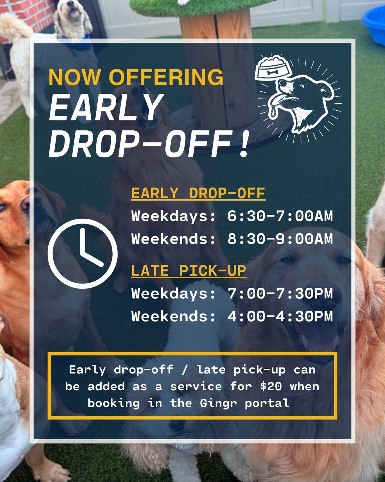 Mornings just got easier. Park‑9 now offers EARLY DROP‑OFF for daycare and boarding, giving you an extra 30 minutes to get your day rolling while your pup settles in. Late pick‑up is always an option too. See below:

EARLY DROP-OFF
Weekdays: 6:30-7:0