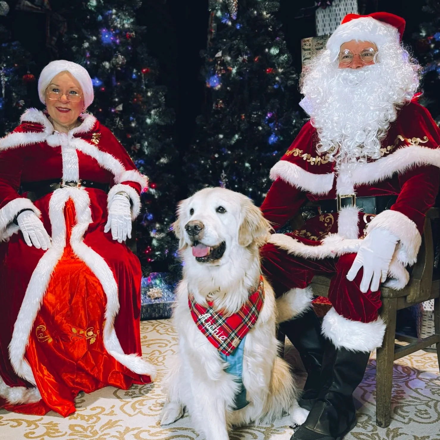 Pictures With Santa