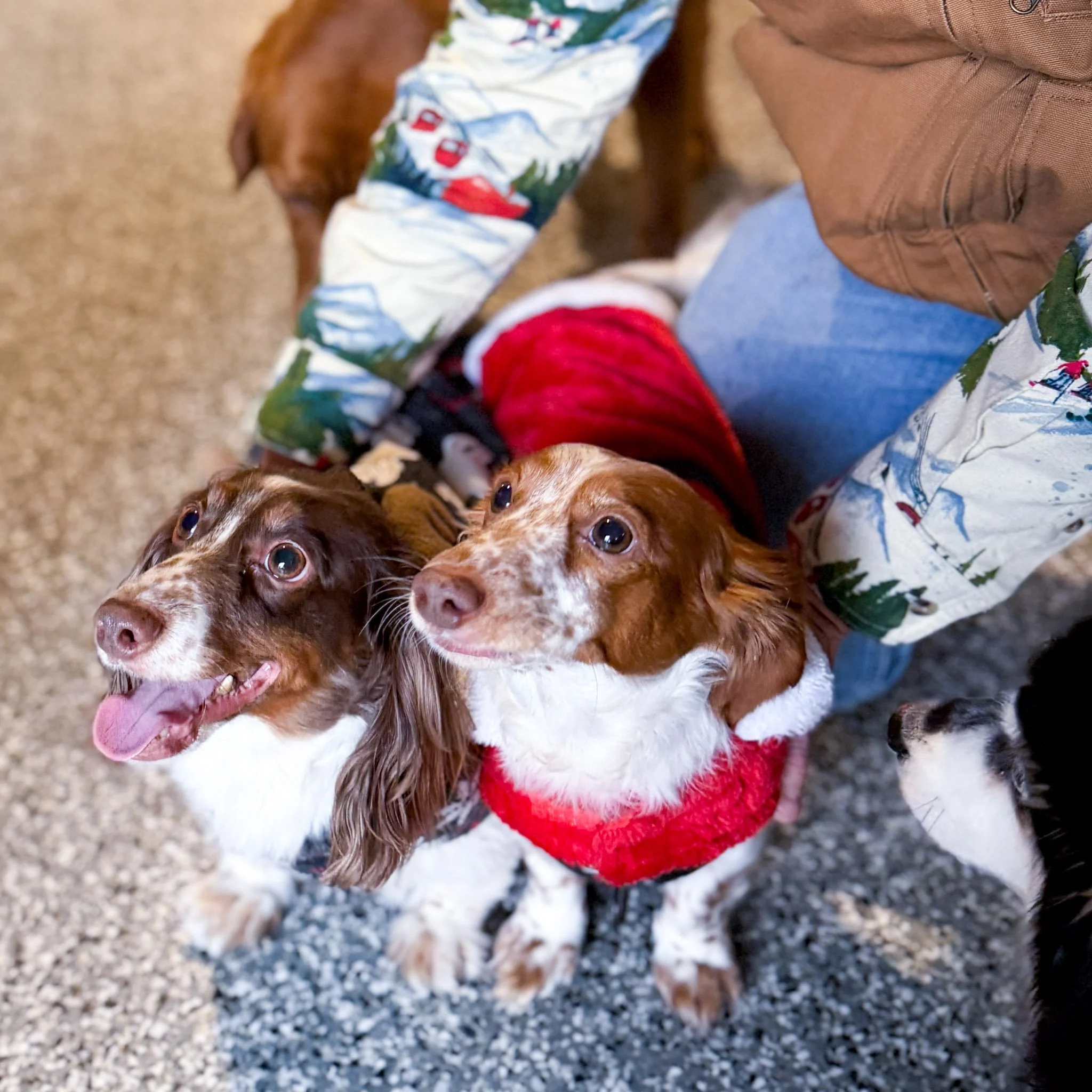 Ugly Sweater Christmas Party