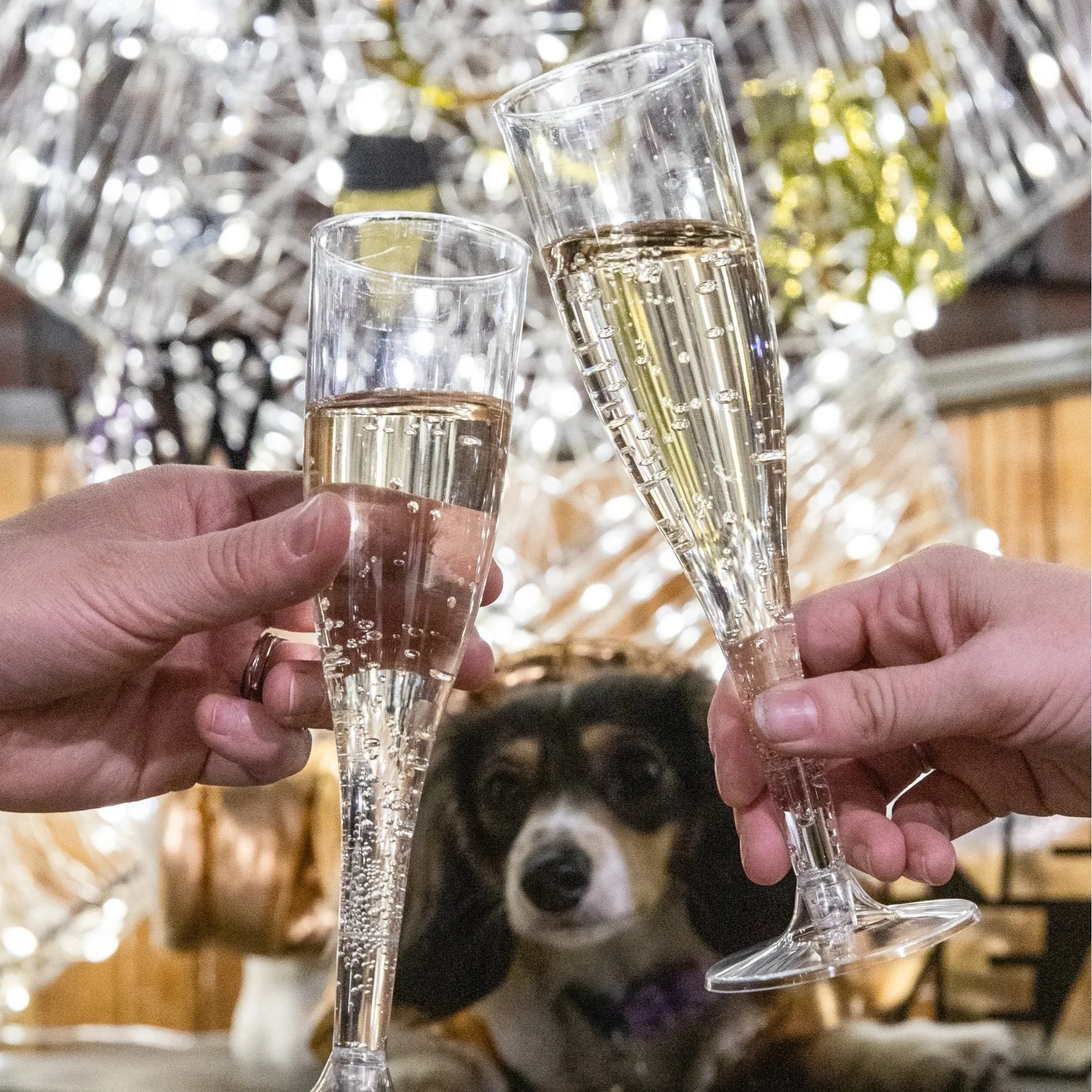 Annual New Years Eve Party!
