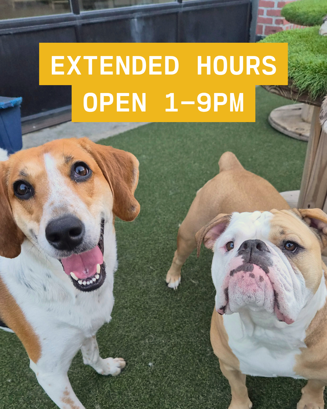 Extended Hours - Indigenous Peoples’ Day