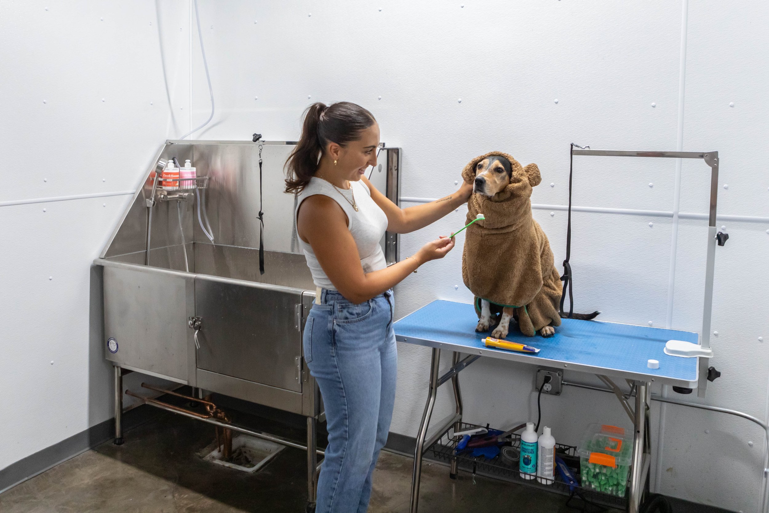GROOMING-DAYCARE-PARK9-JUL25-26 (1).jpg