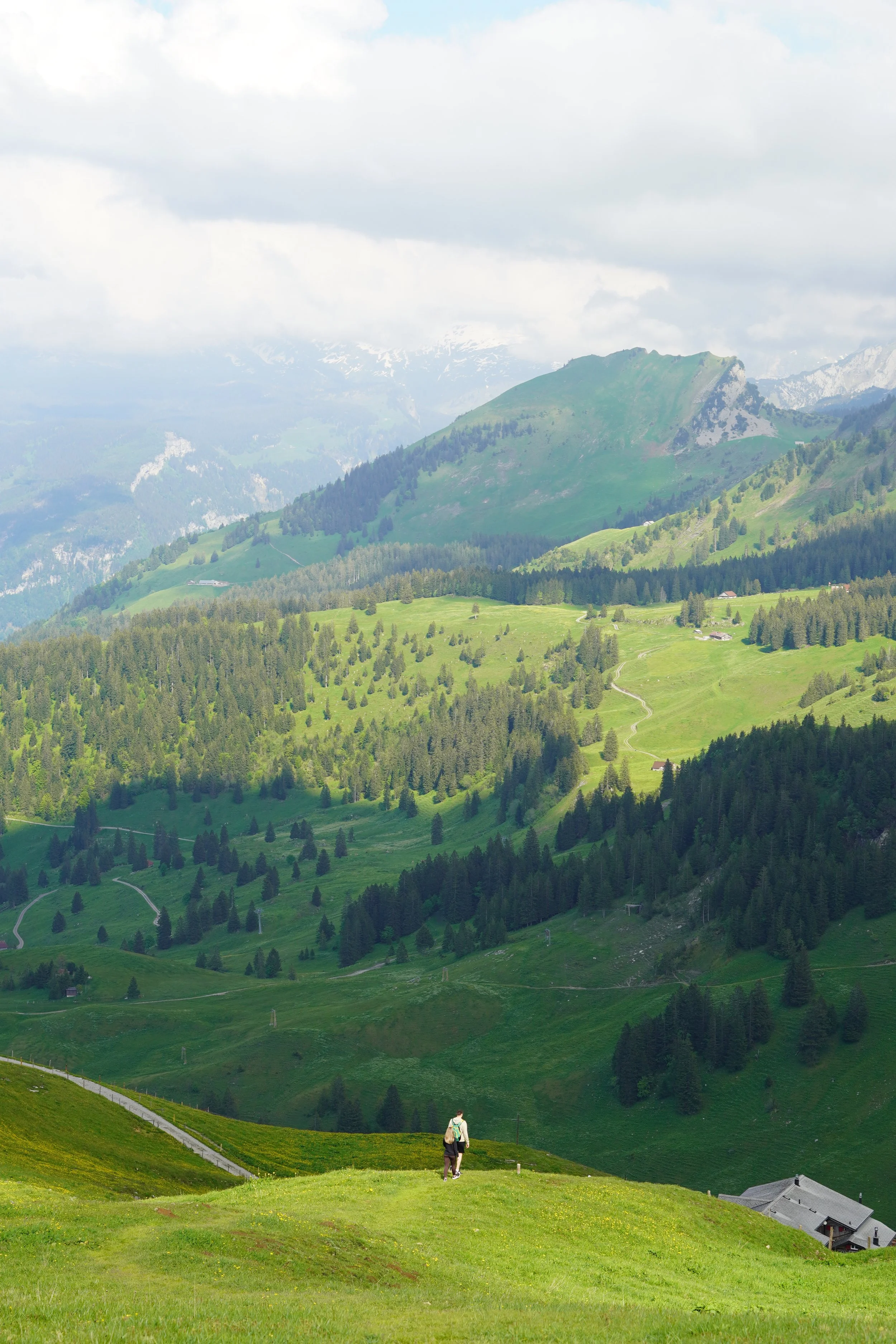 SWITZ-23.jpg