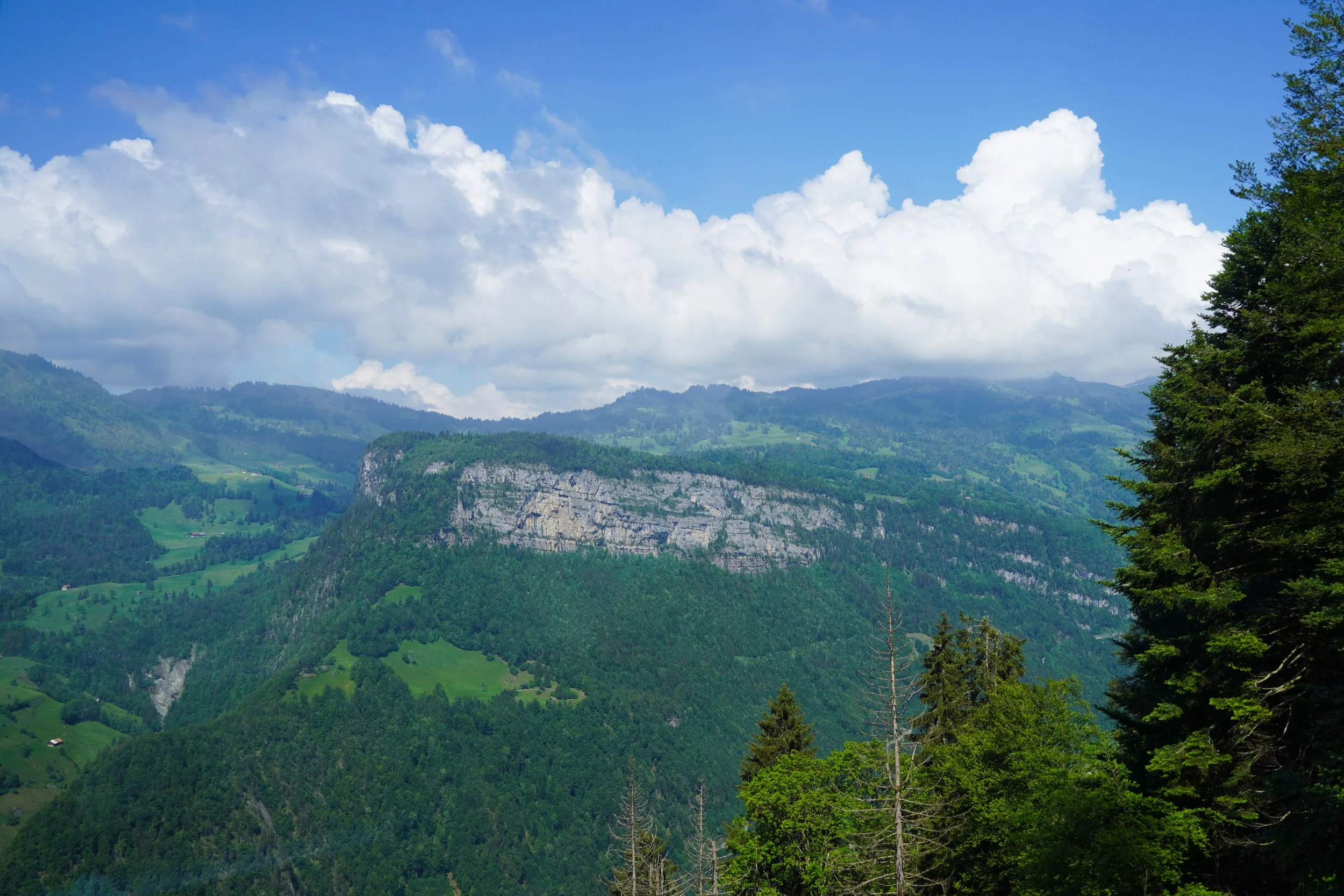 SWITZ-25.jpg