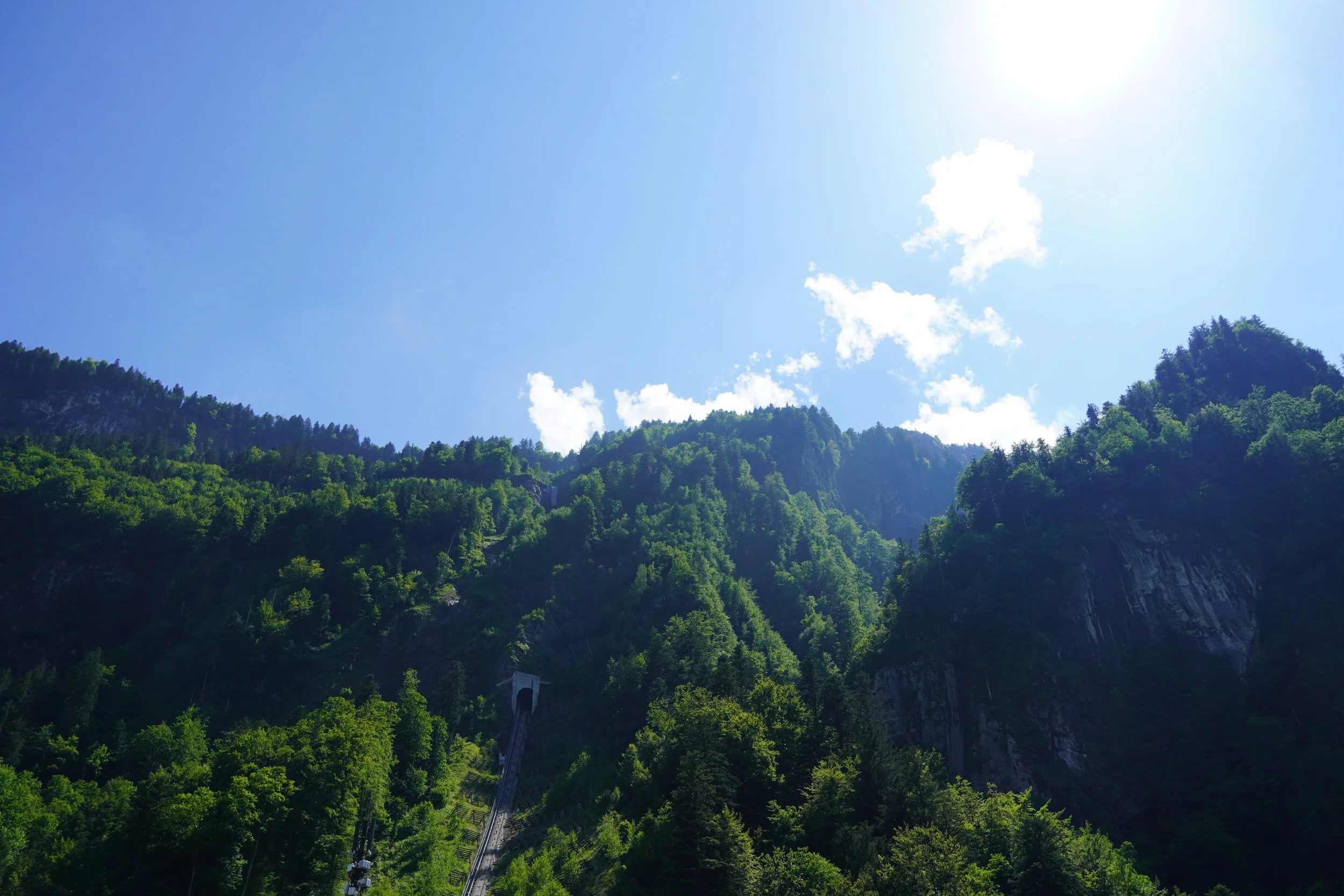SWITZ-40.jpg