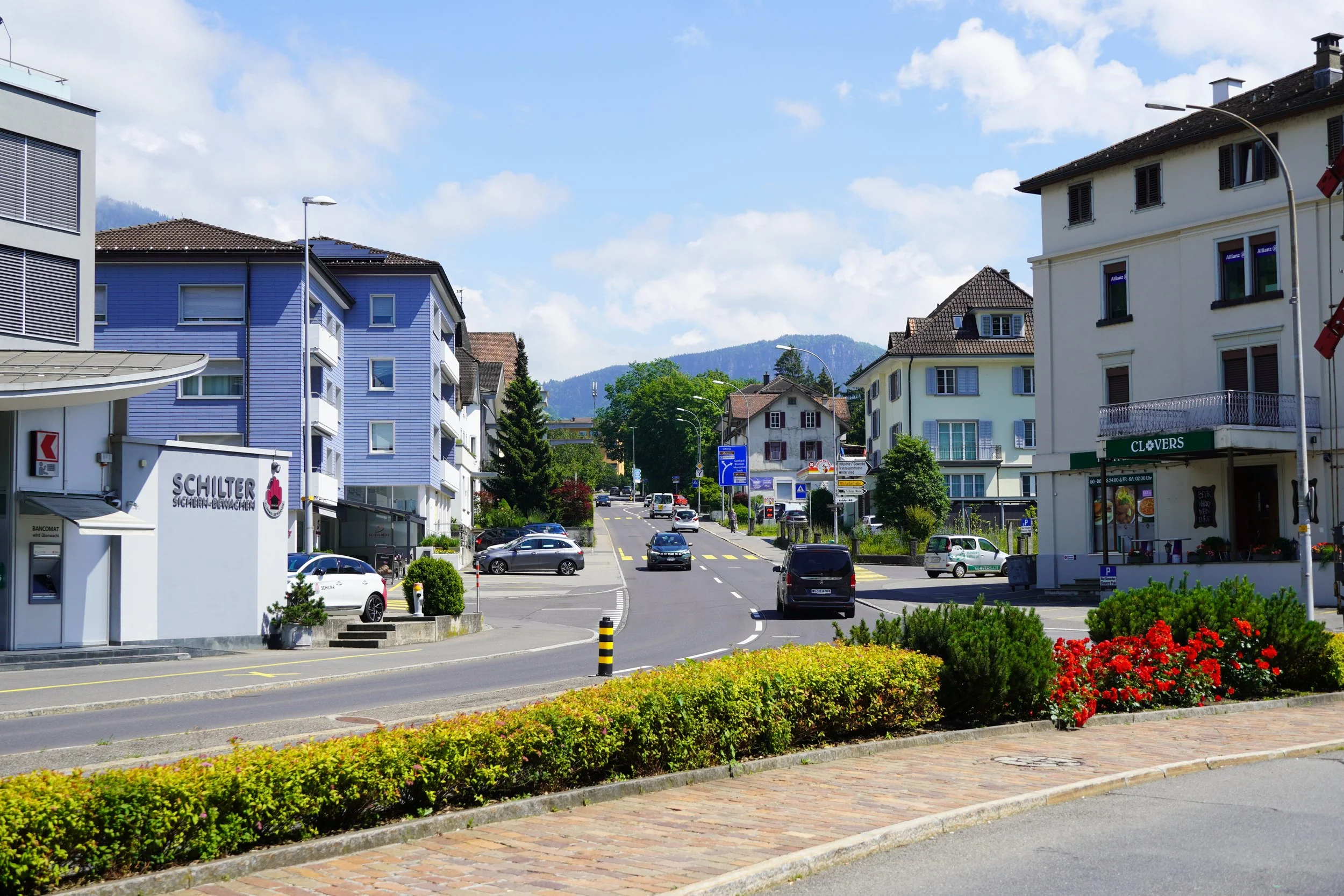 SWITZ-46.jpg