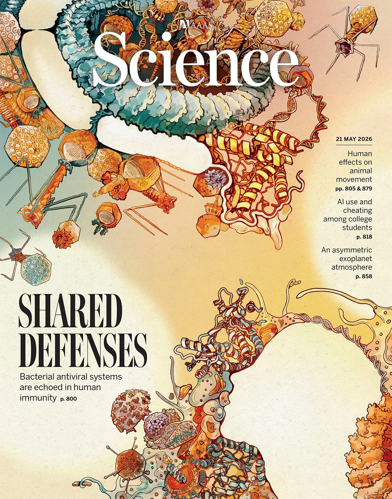 science.2026.392.issue-6800.largecover.jpg