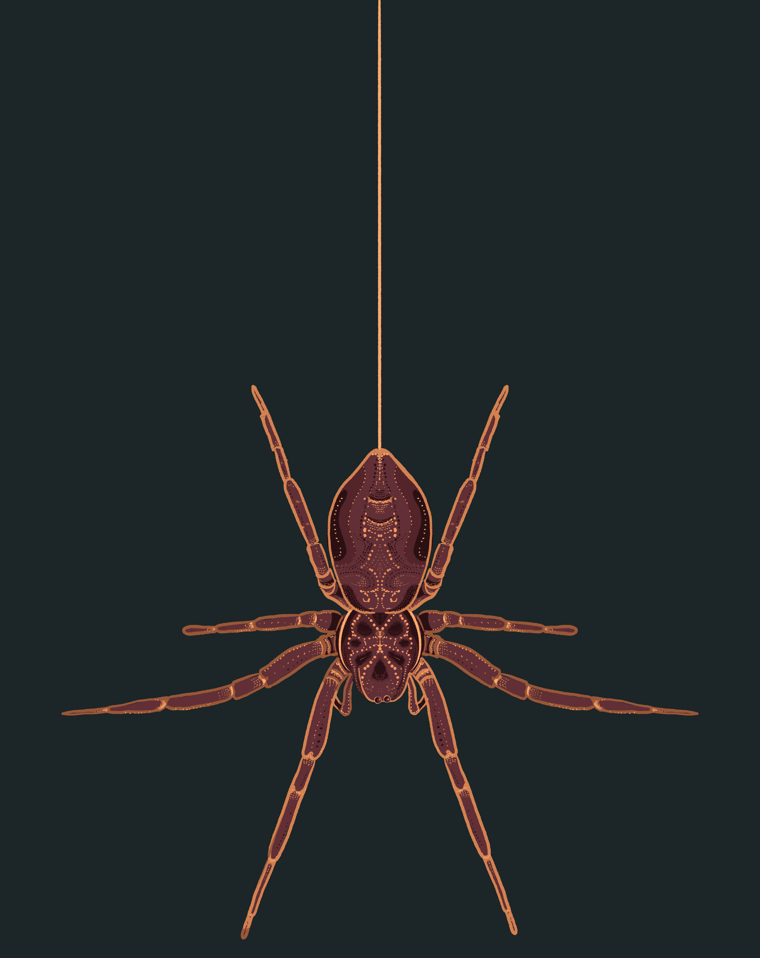 IMG_0741.PNG