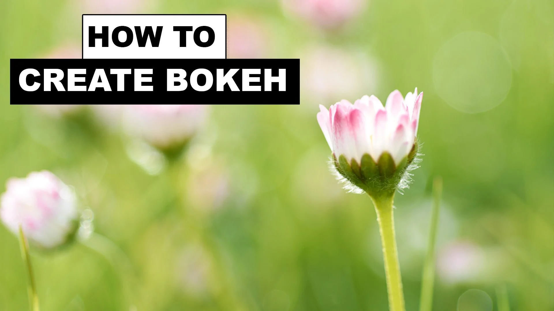 How to Create Bokeh