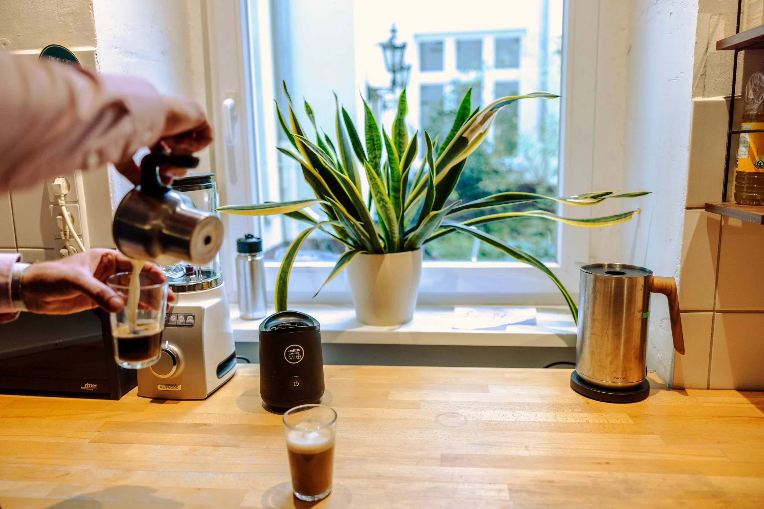Finally, good coffee and beautiful office plants