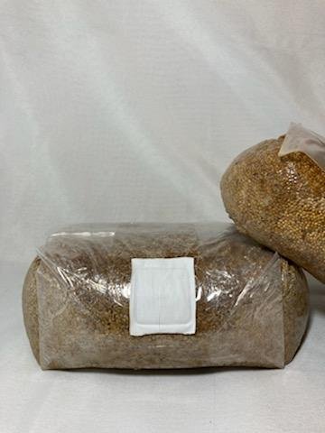 2 Sterilized Grain.jpg
