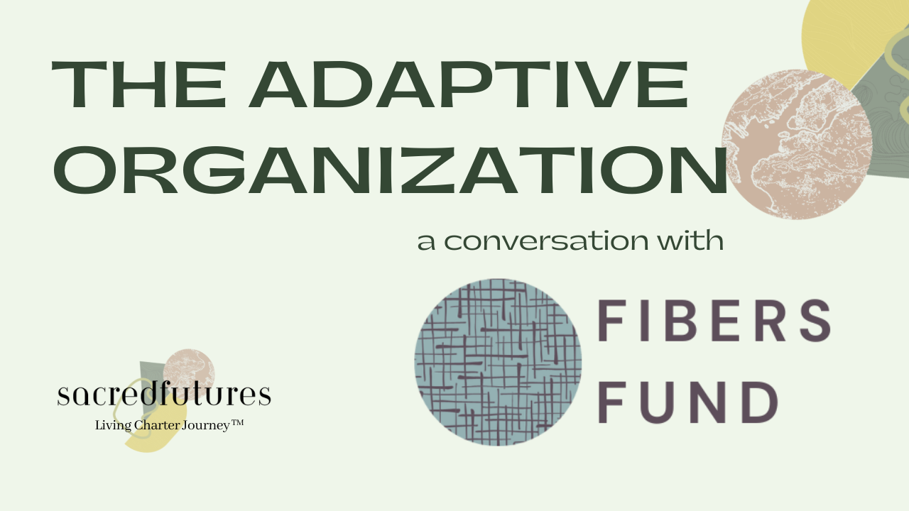 Cover image for blog titled Adaptive Organization: A Conversation with Fibers Fund.