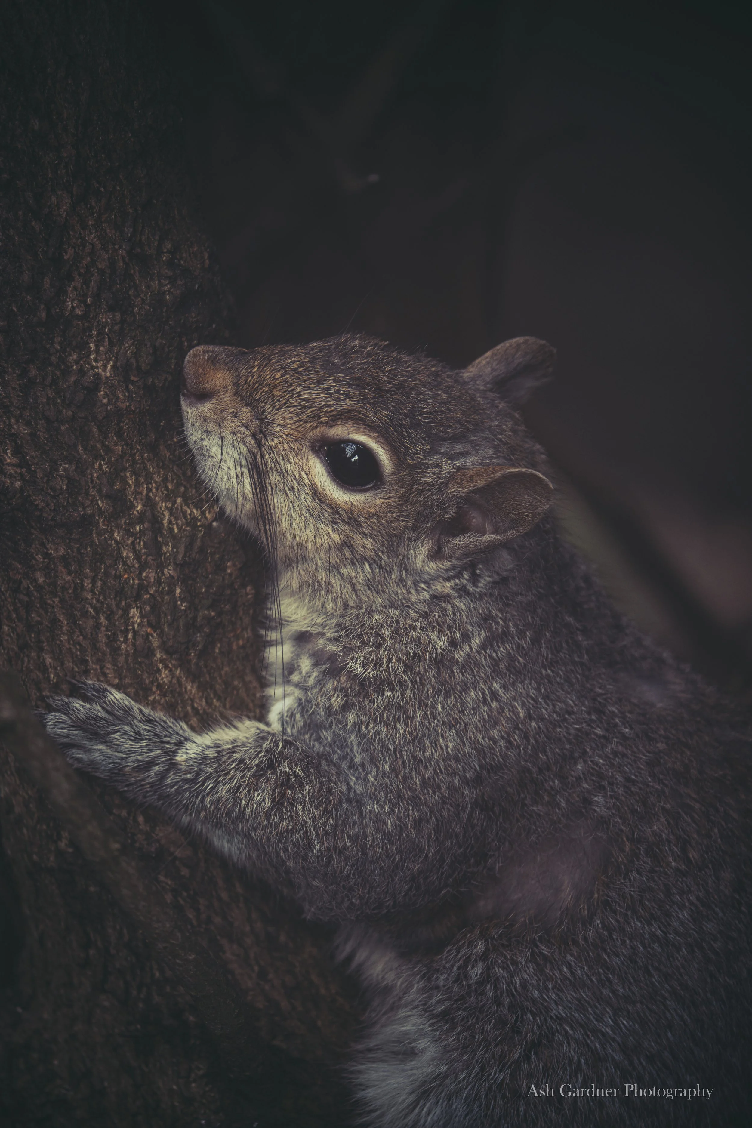 DSCF5153.jpg
