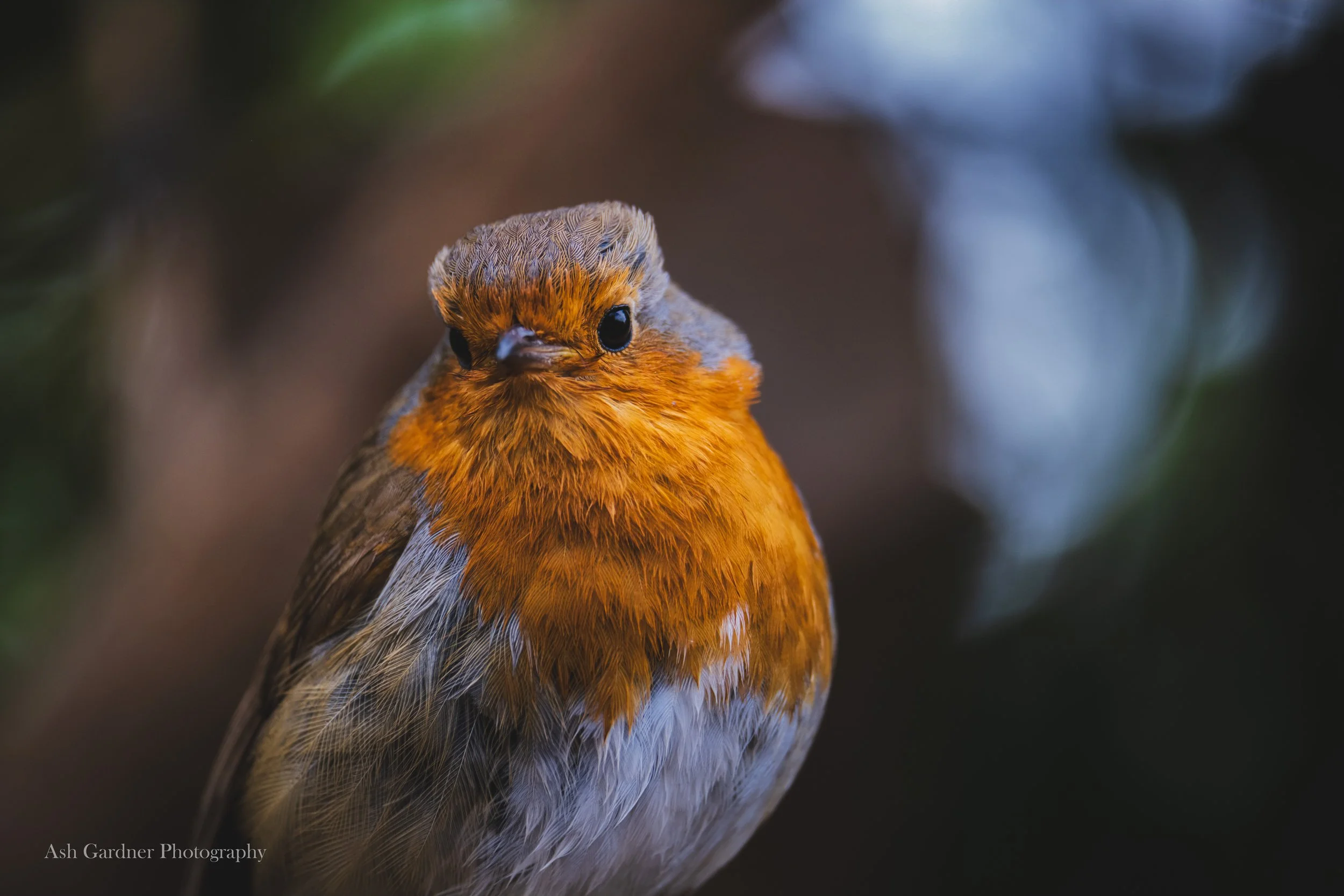 DSCF5076-2.jpg
