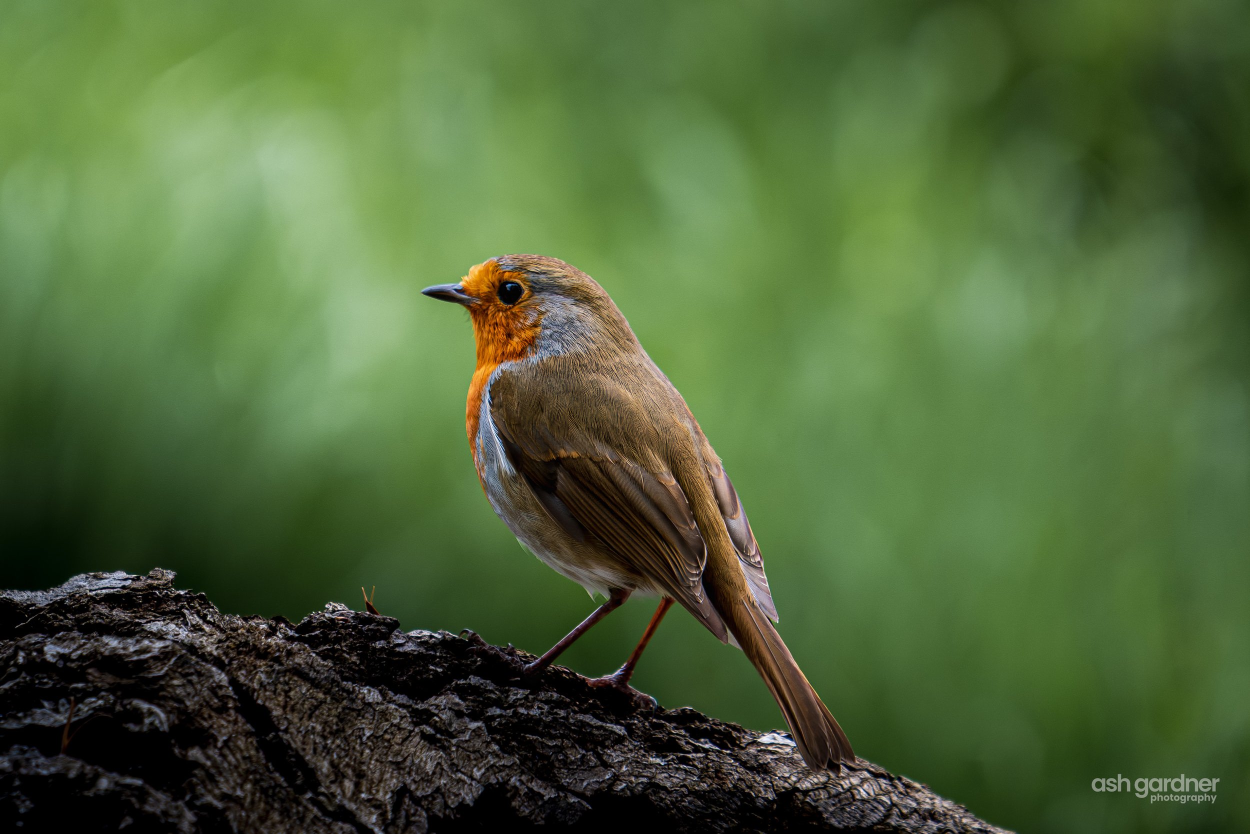 DSCF5188-2.jpg