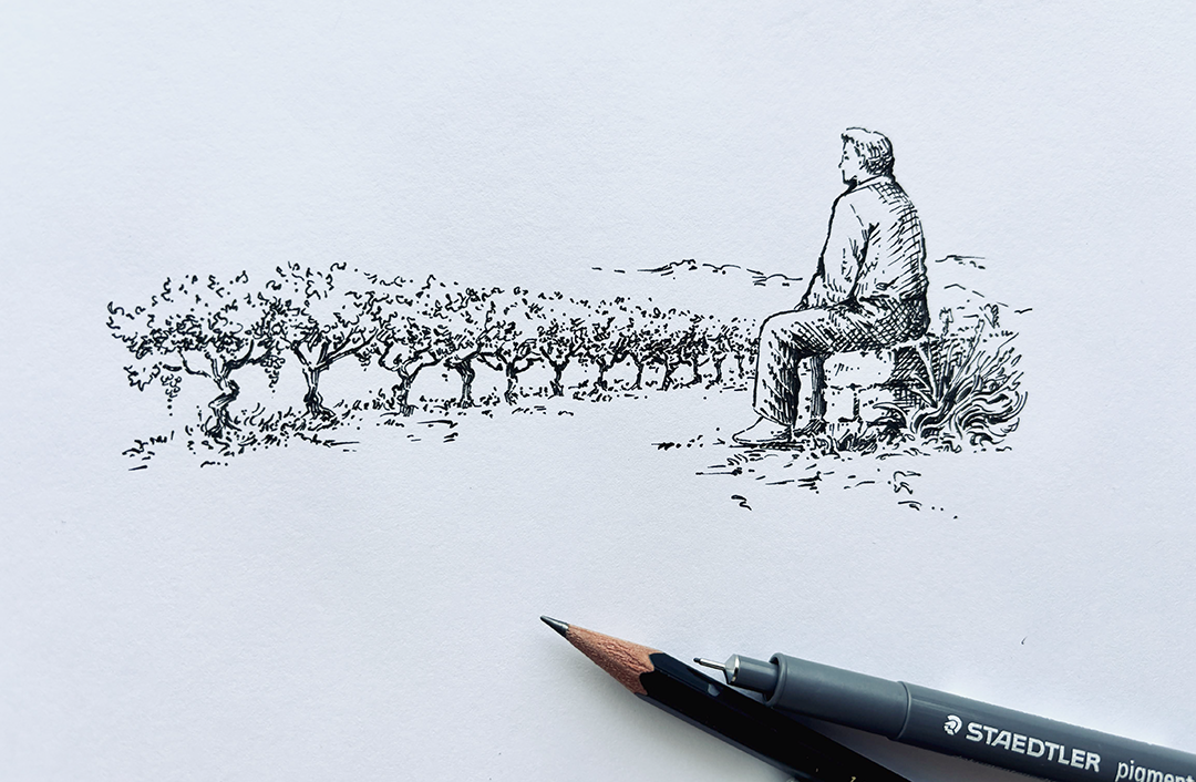 mario fraccaroli, illustrazione a china, fondatore cantina flatio valpolicella san pietro in cariano