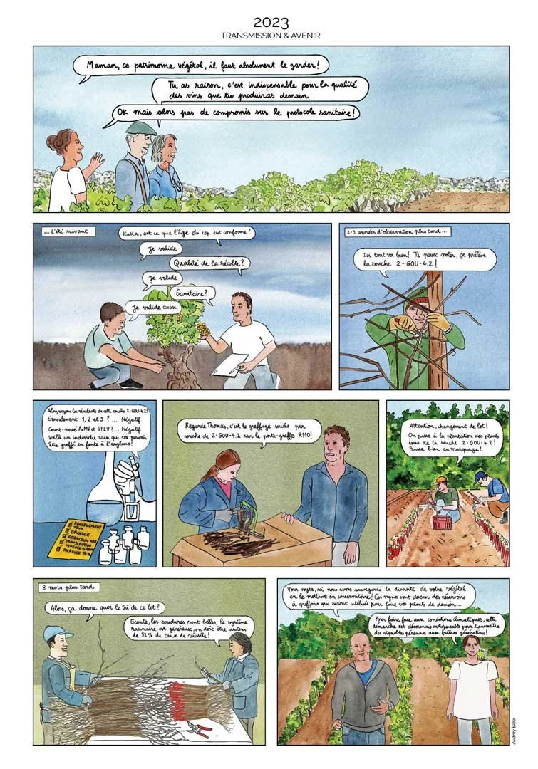 Pépinière Viticole Lilian Bérillon