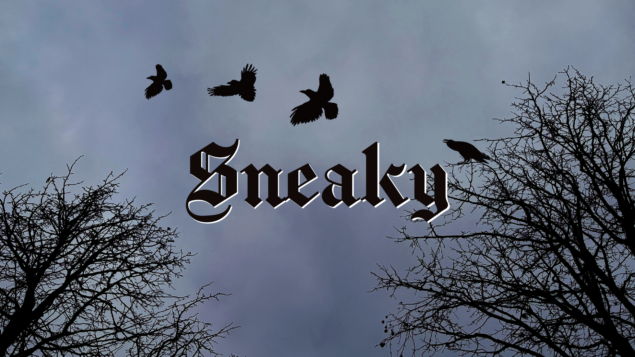 Bannière Youtube pour Sneaky 