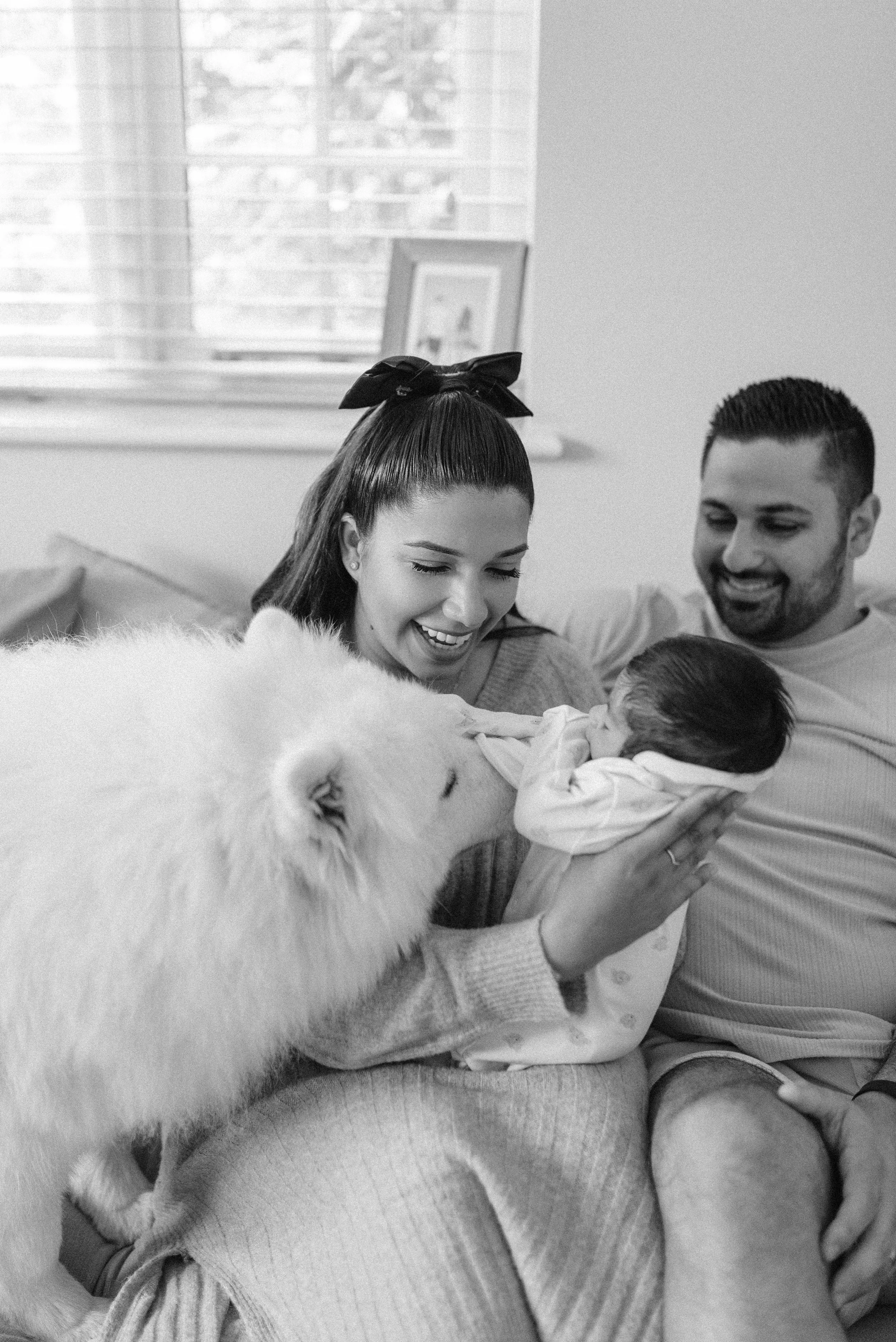 Norfolk Family Photographer.  A woman, man, and a baby sit on a couch with a large fluffy dog touching the baby's hand. The woman holds the baby, and the dog is licking the baby. They are indoors with sunlight coming through a window.