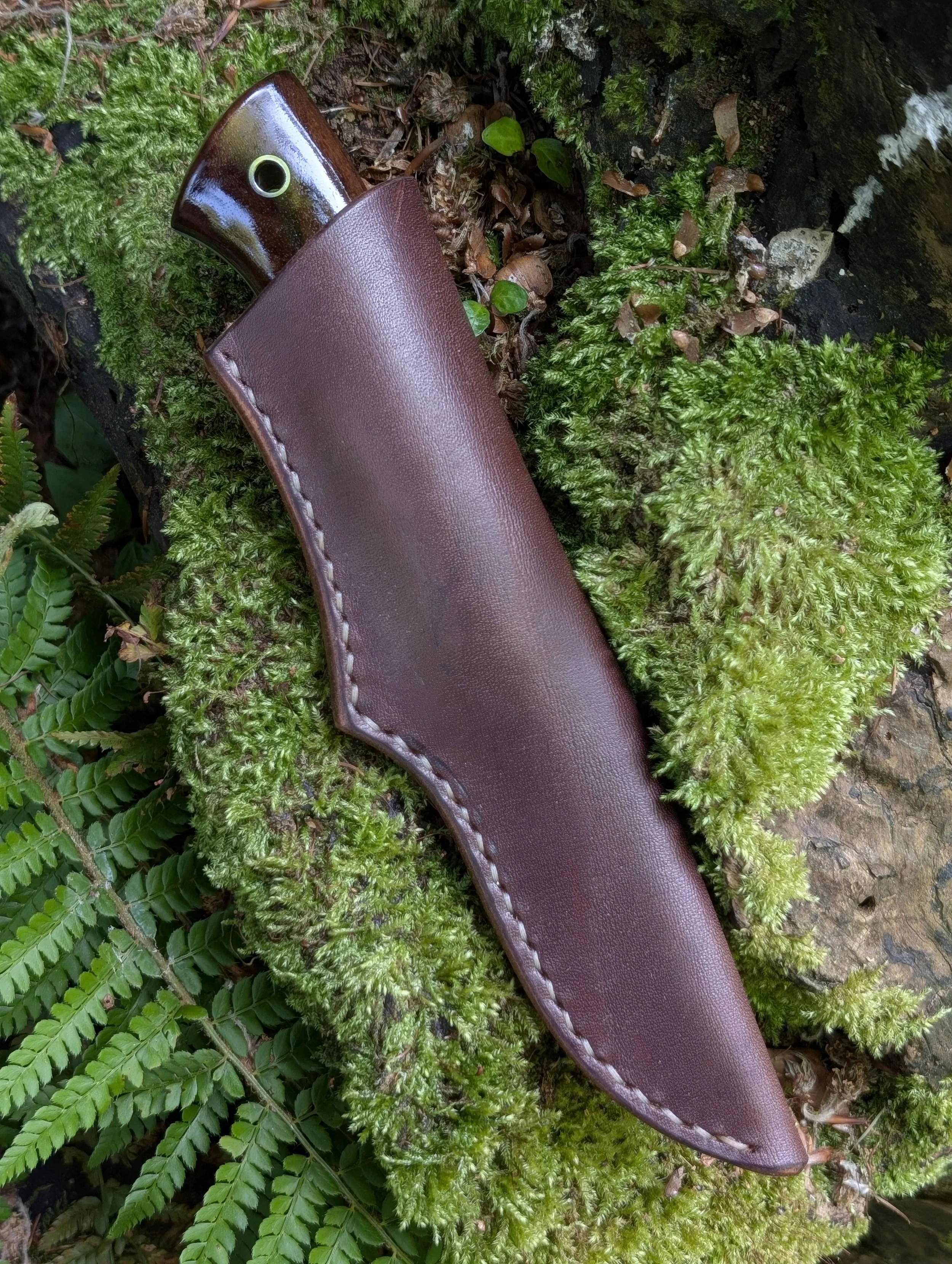 009 Walnut(1).jpg