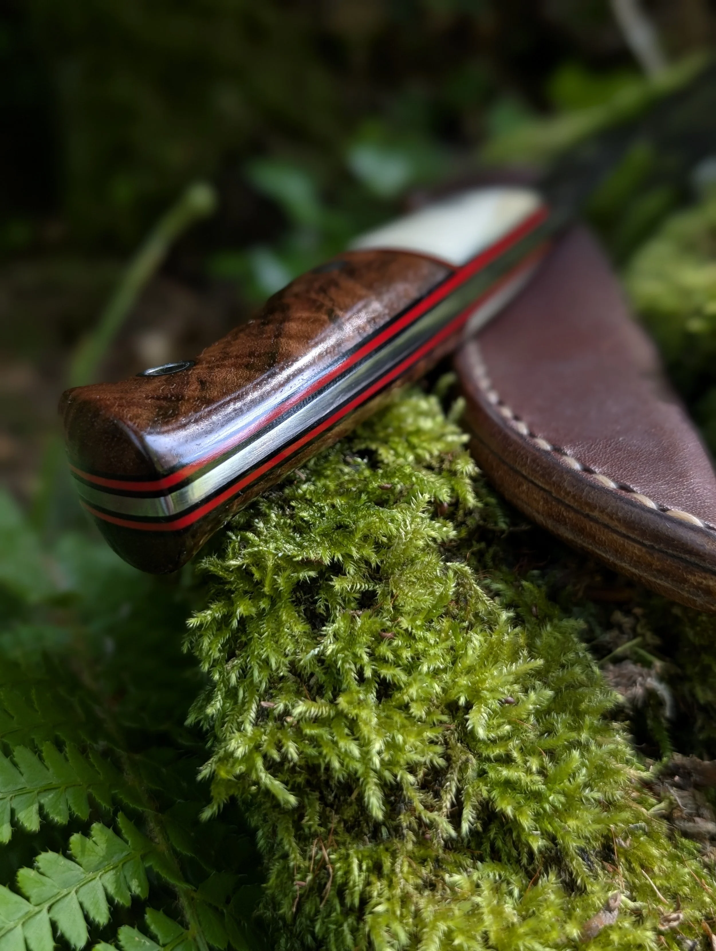 002 Antler and Walnut(1).jpg