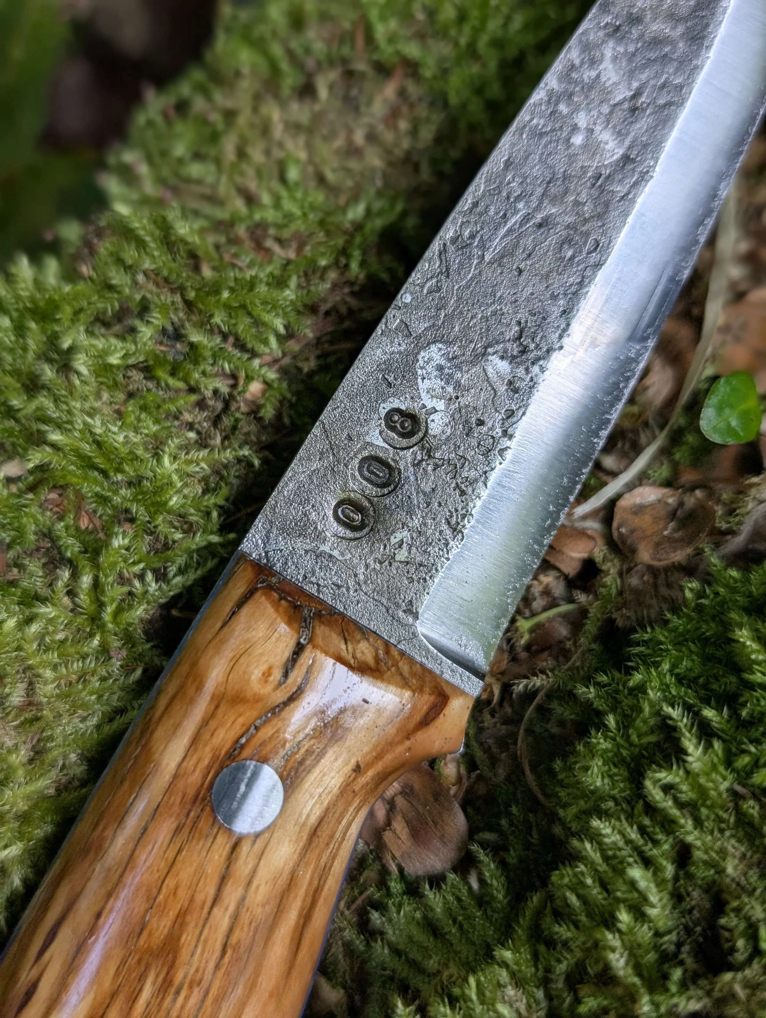 008 Masur Birch(1).jpg