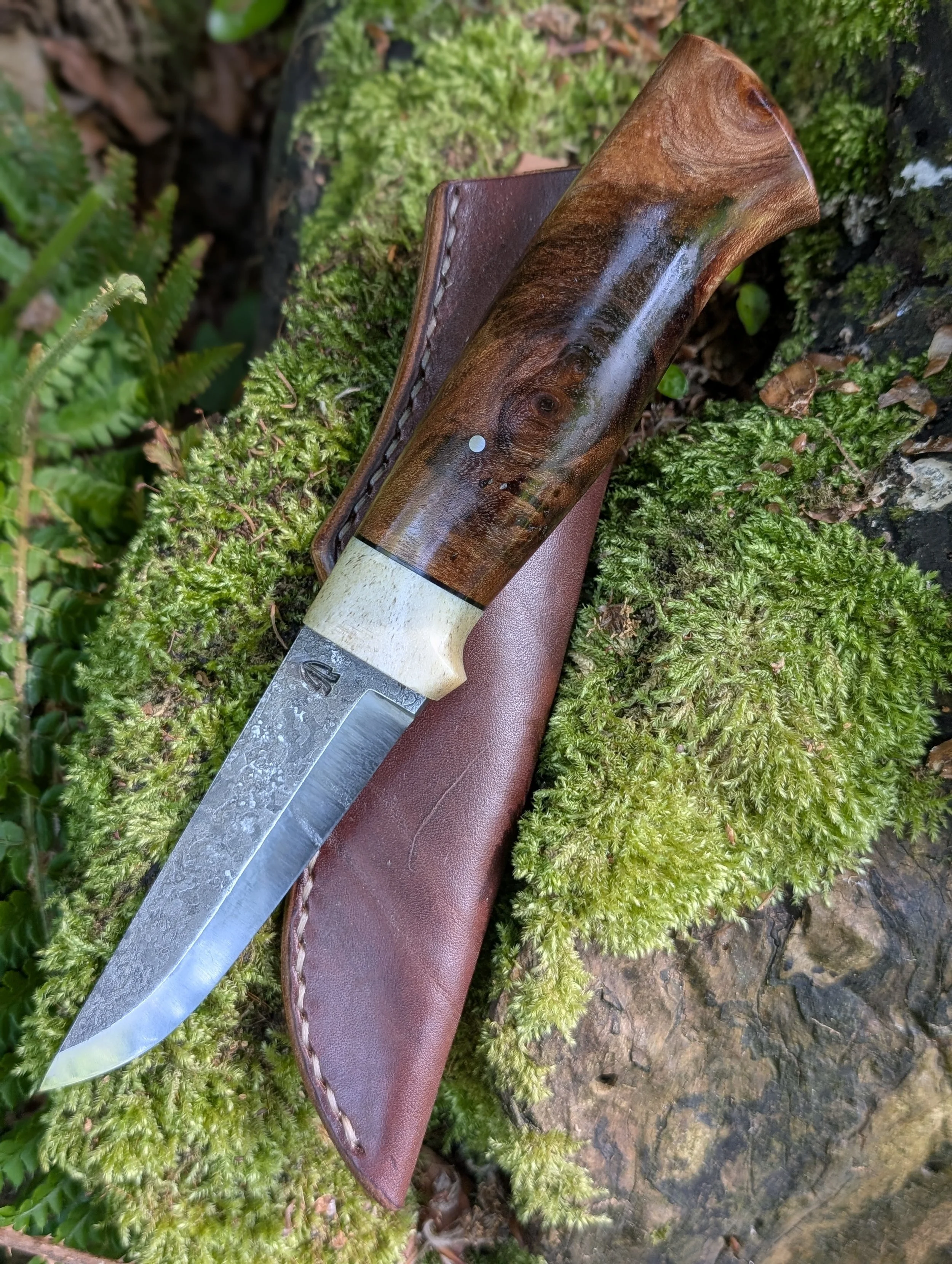 Antler and Elm 3(3).jpg