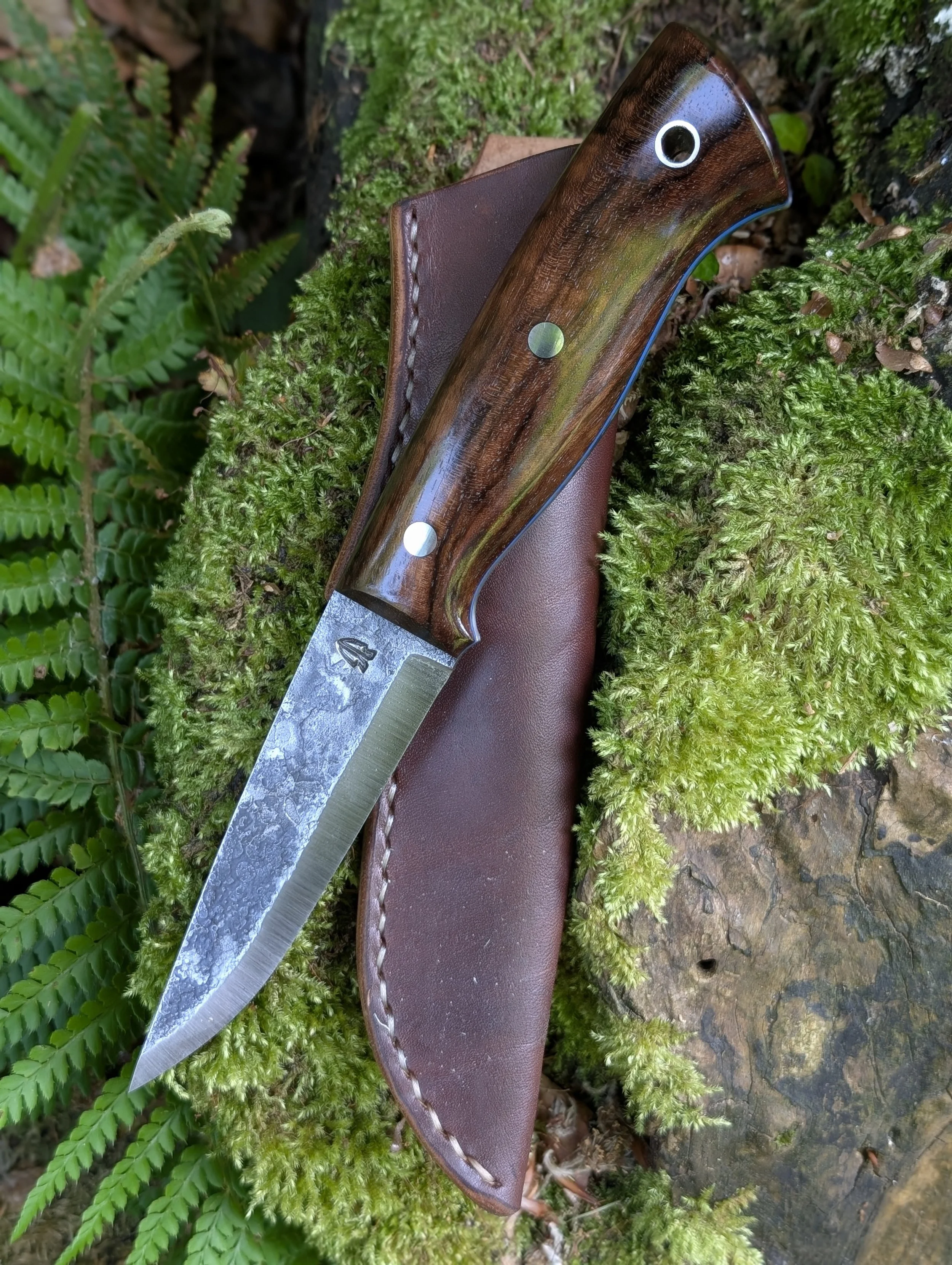 004 Walnut.jpg