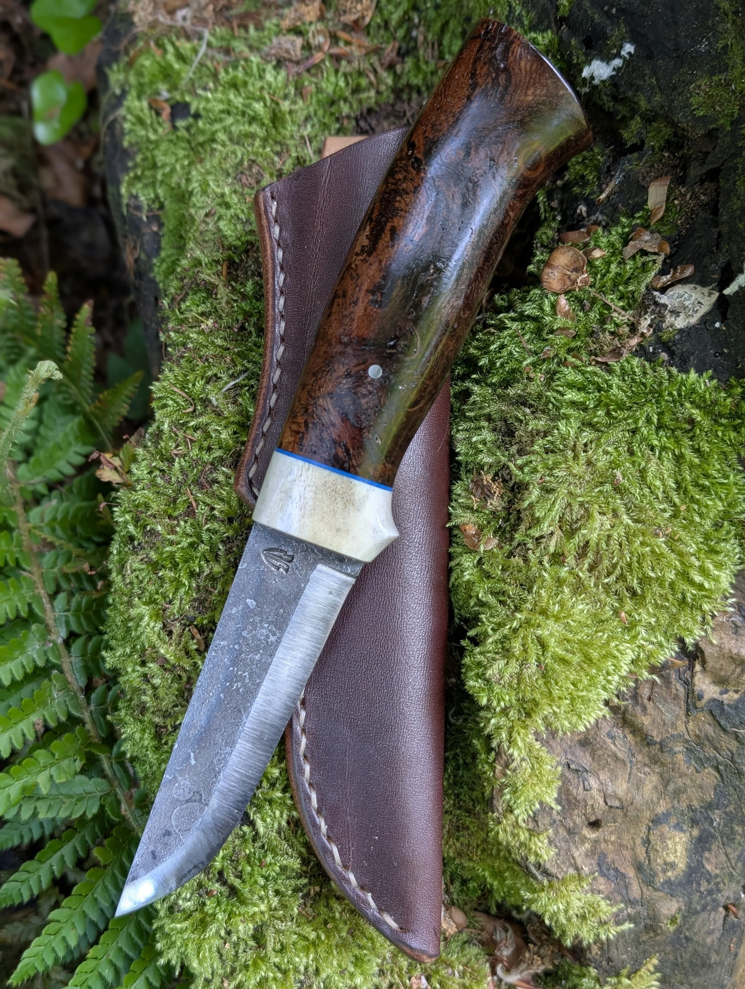 Antler and Elm 1(2).jpg