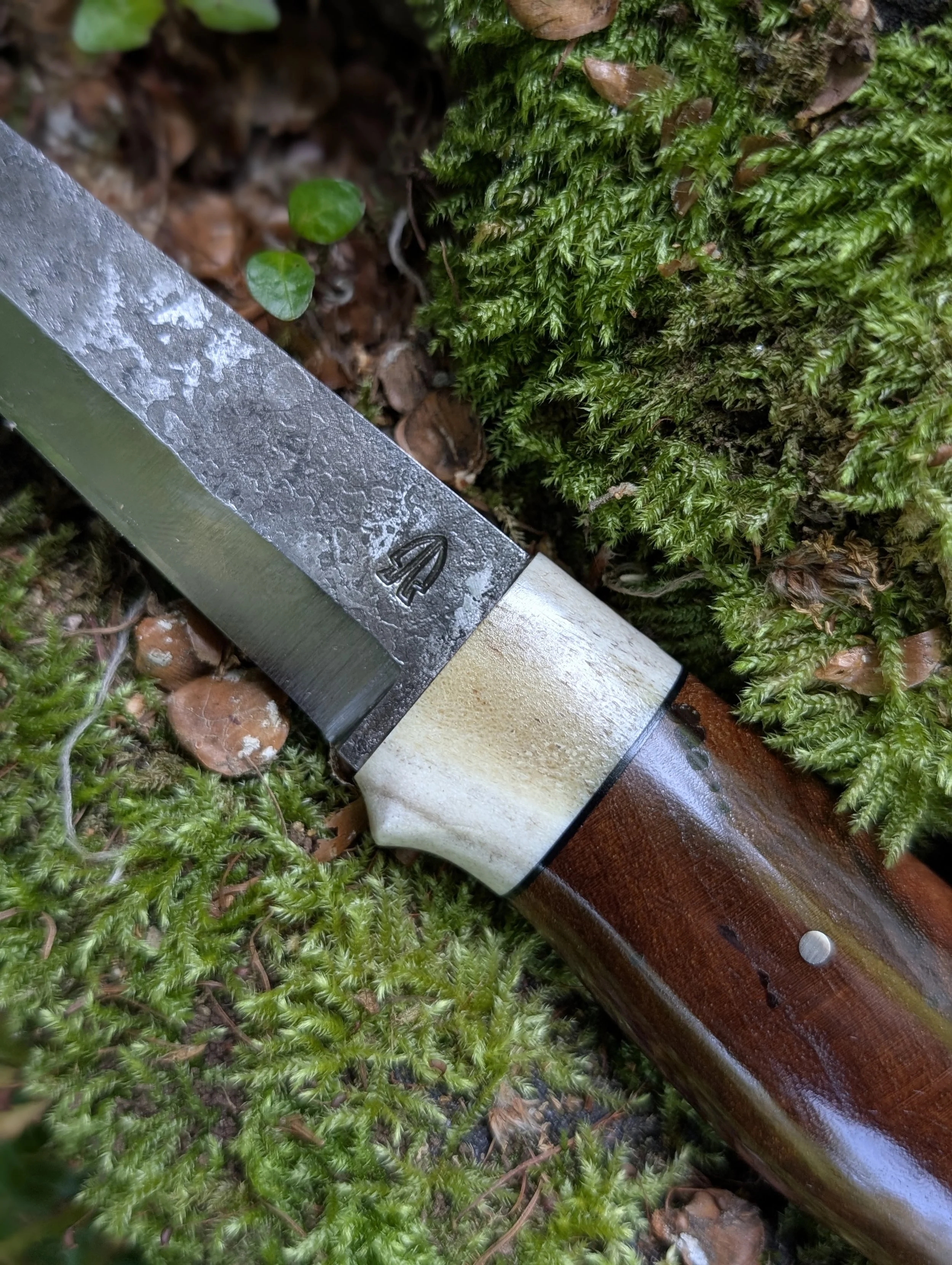 Antler and Elm 2.jpg