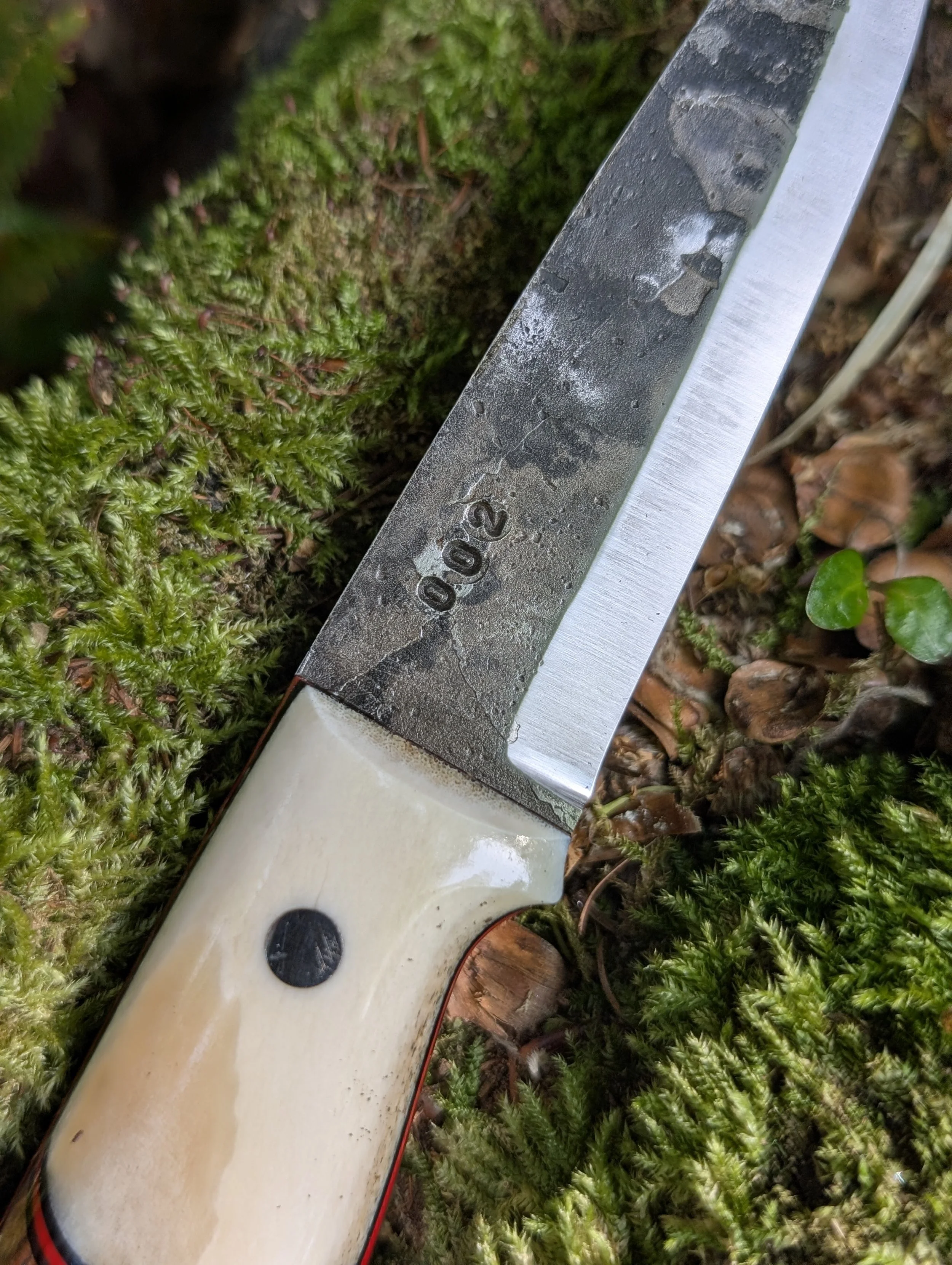 002 Antler and Walnut(3).jpg