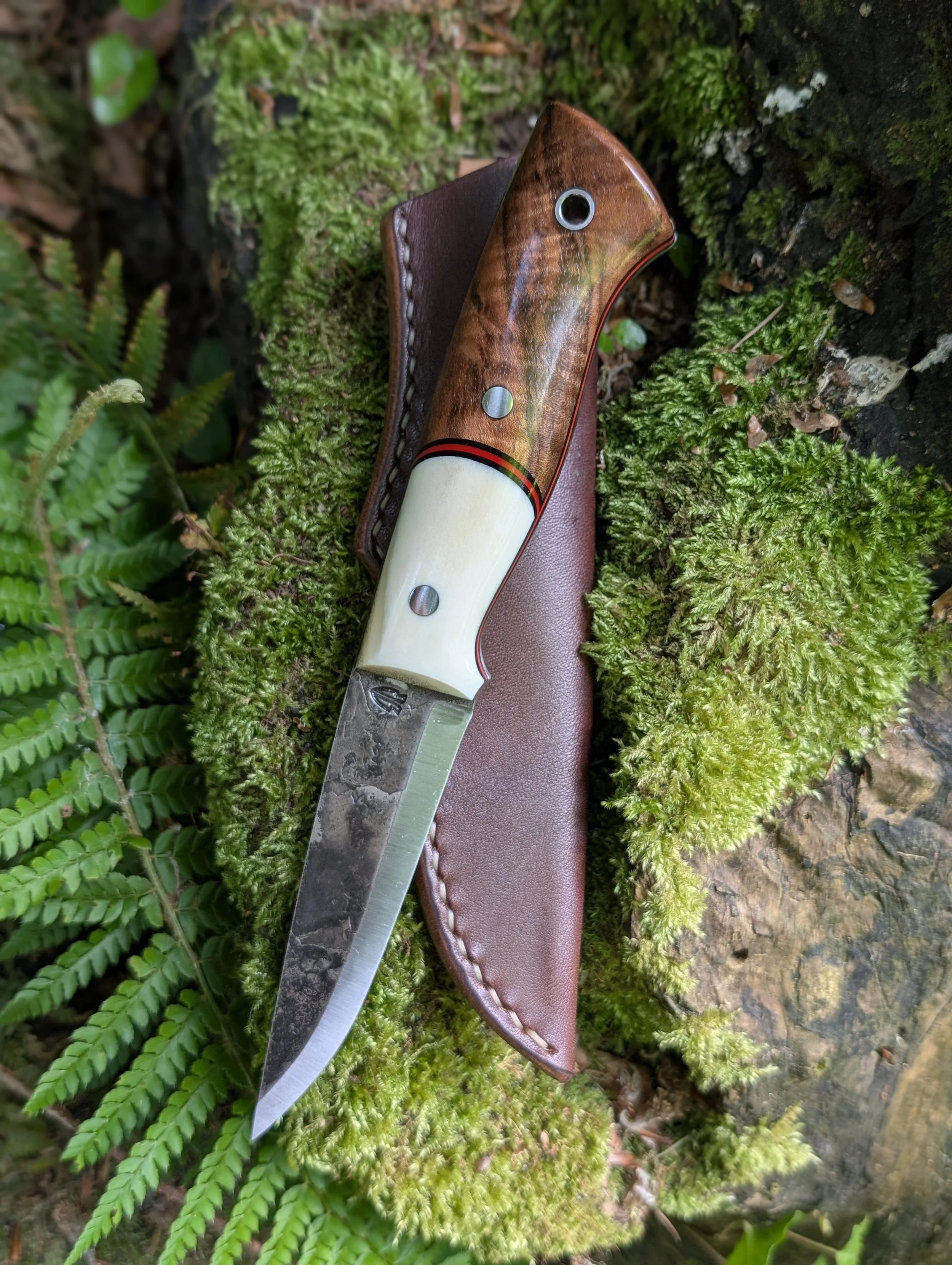 002 Antler and Walnut.jpg