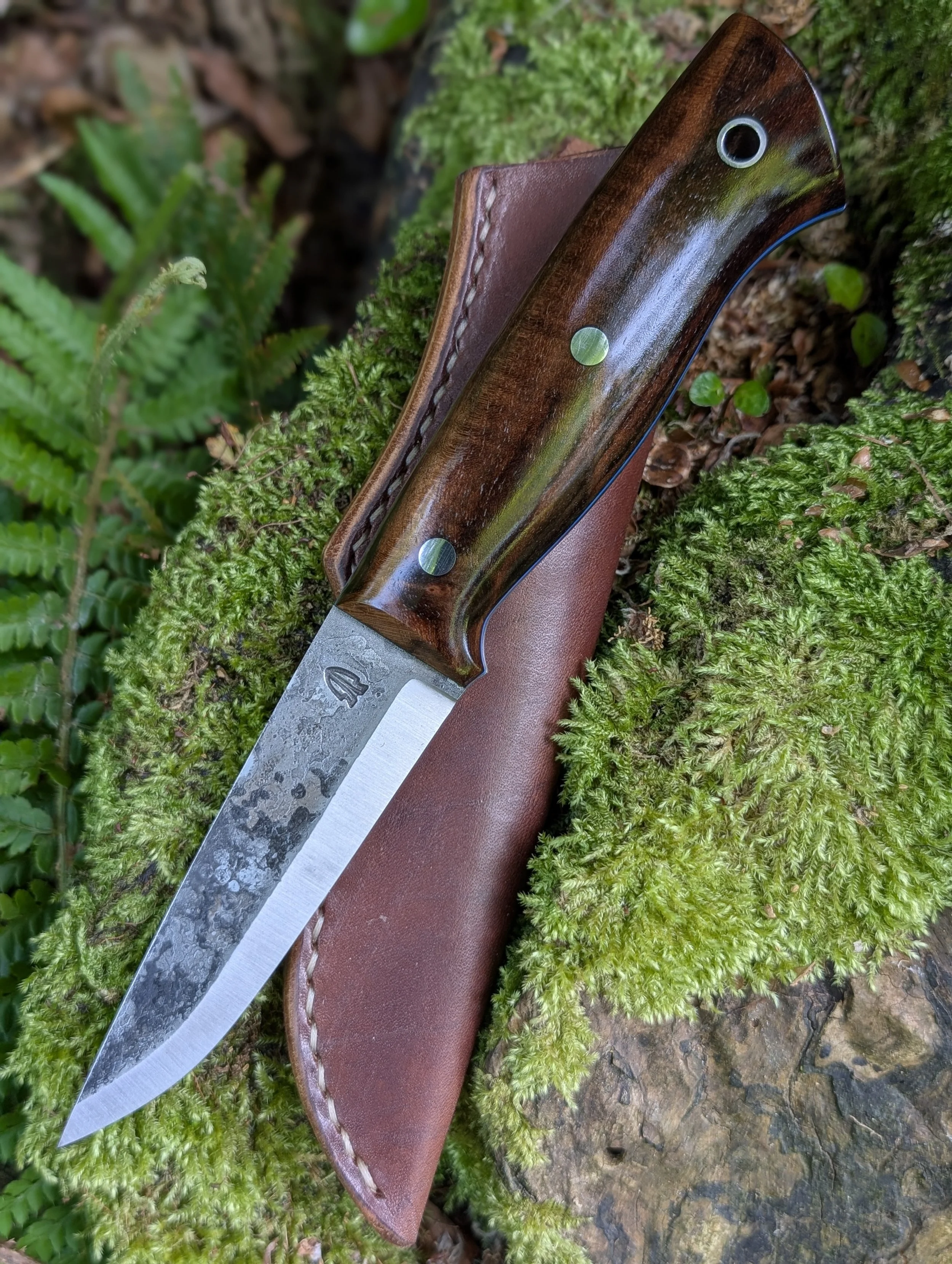 006 Walnut(4).jpg