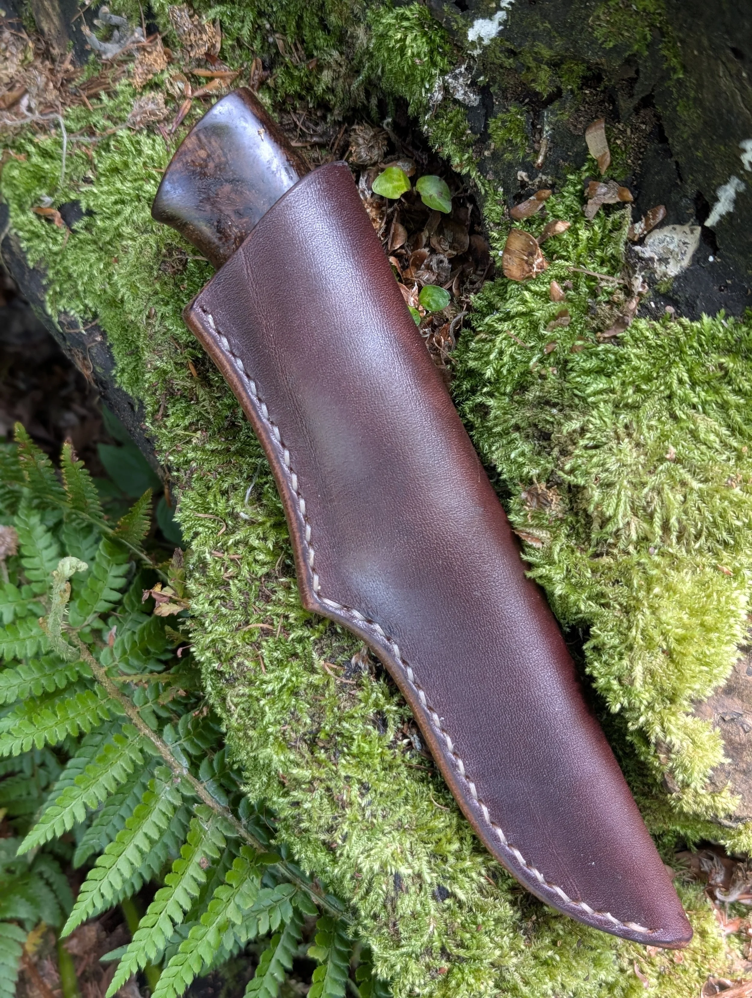 Antler and Elm 1(1).jpg