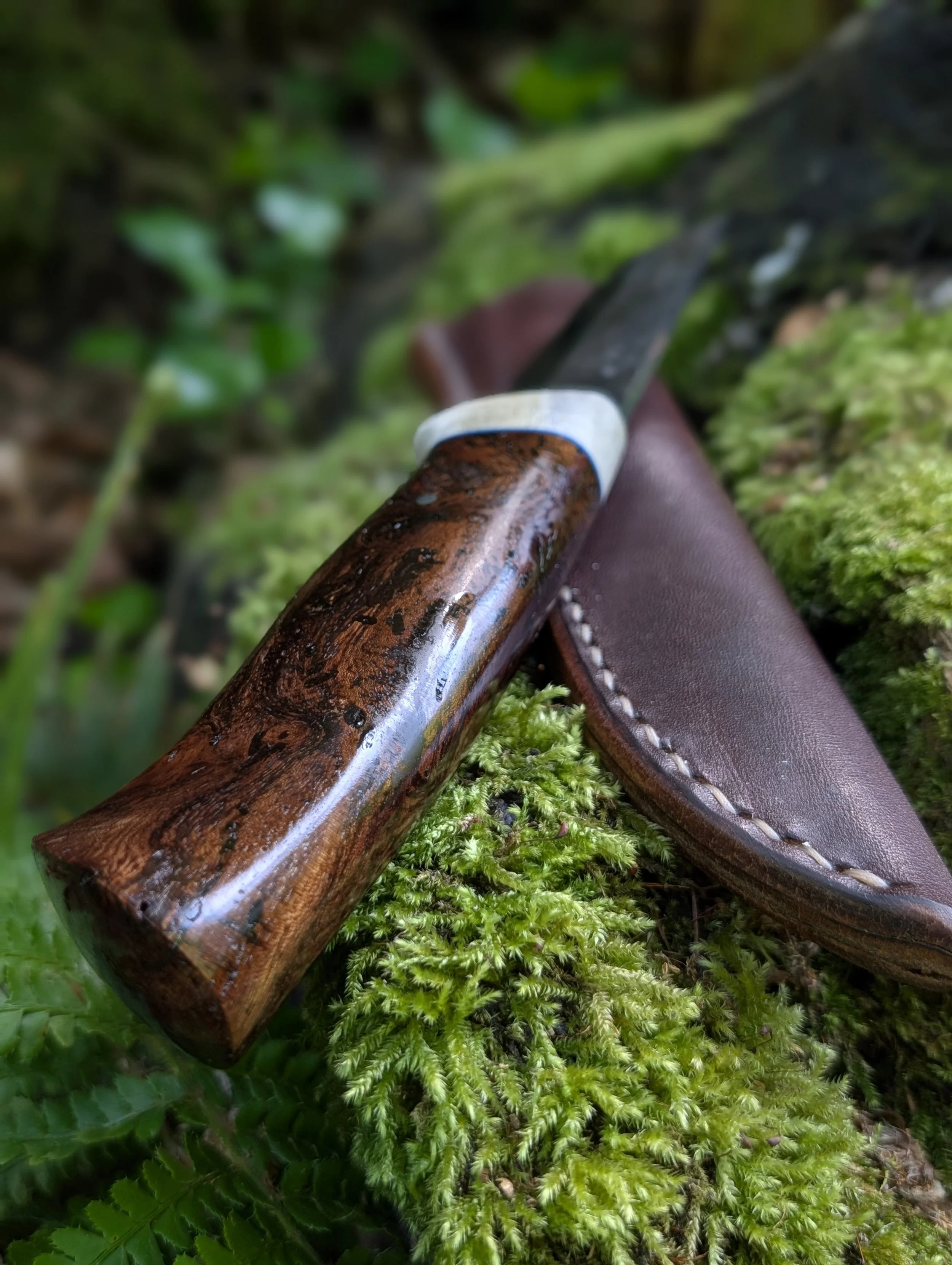 Antler and Elm 1(3).jpg