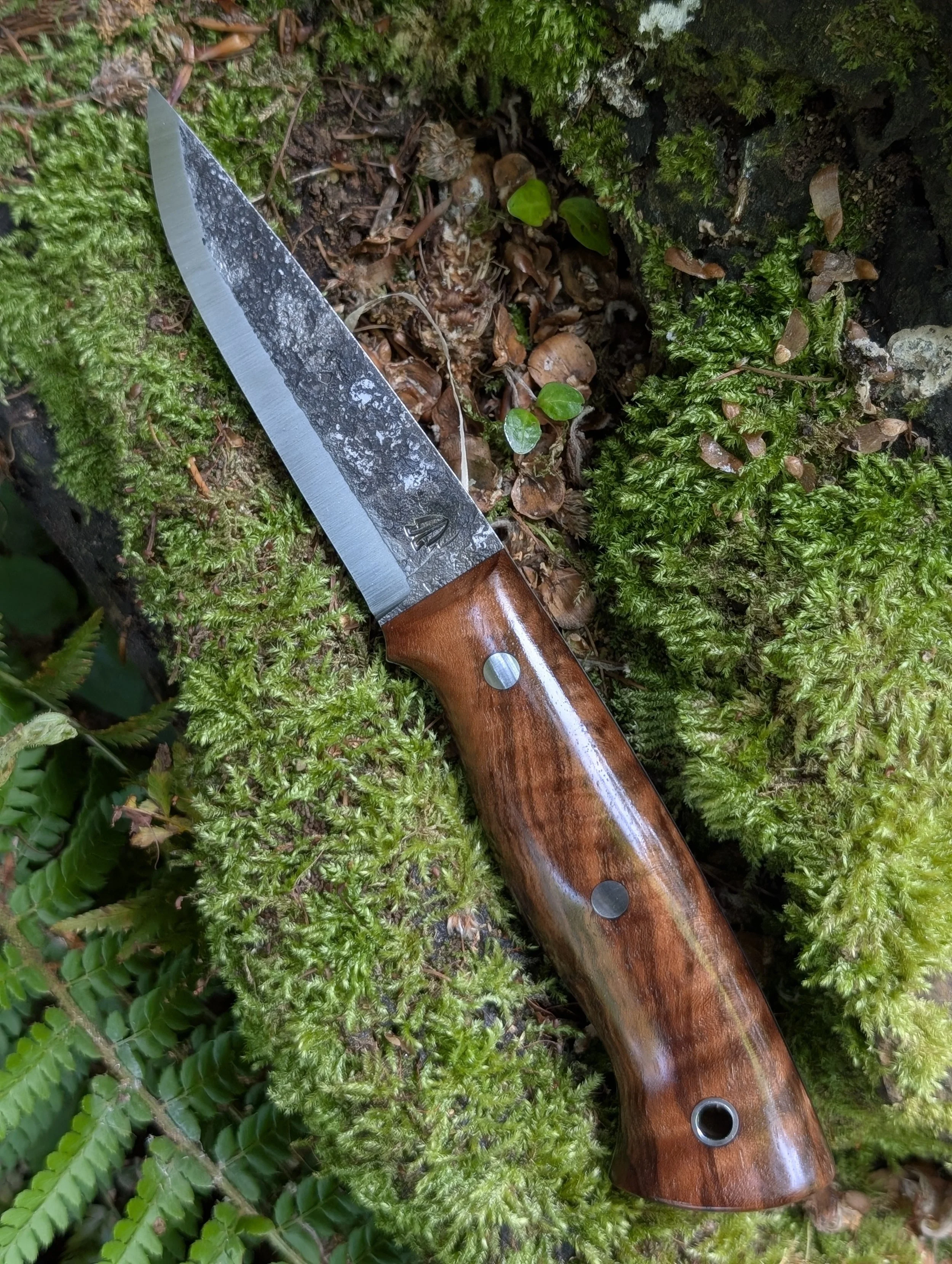 010 Walnut(4).jpg