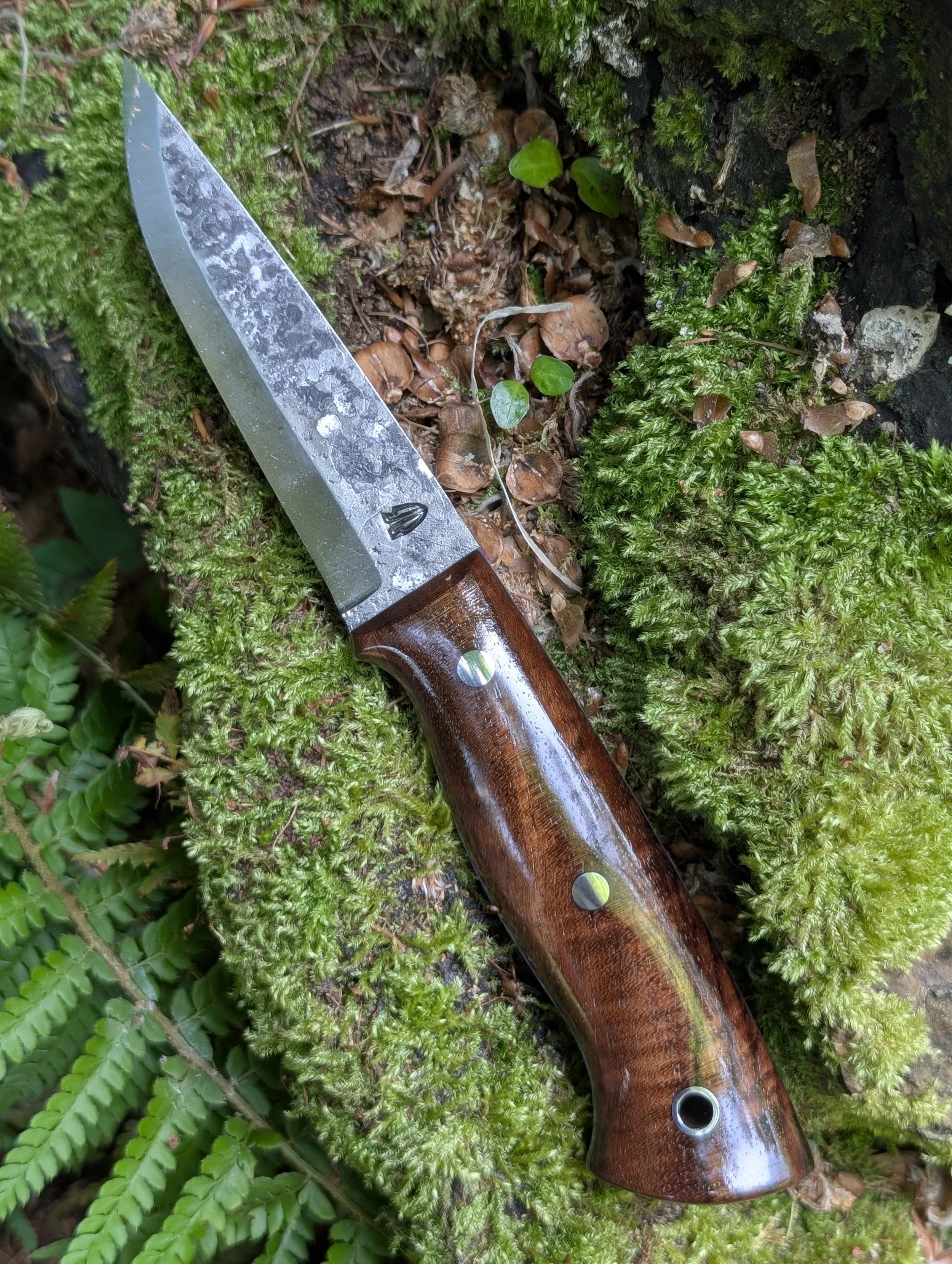 007 Walnut(2).jpg