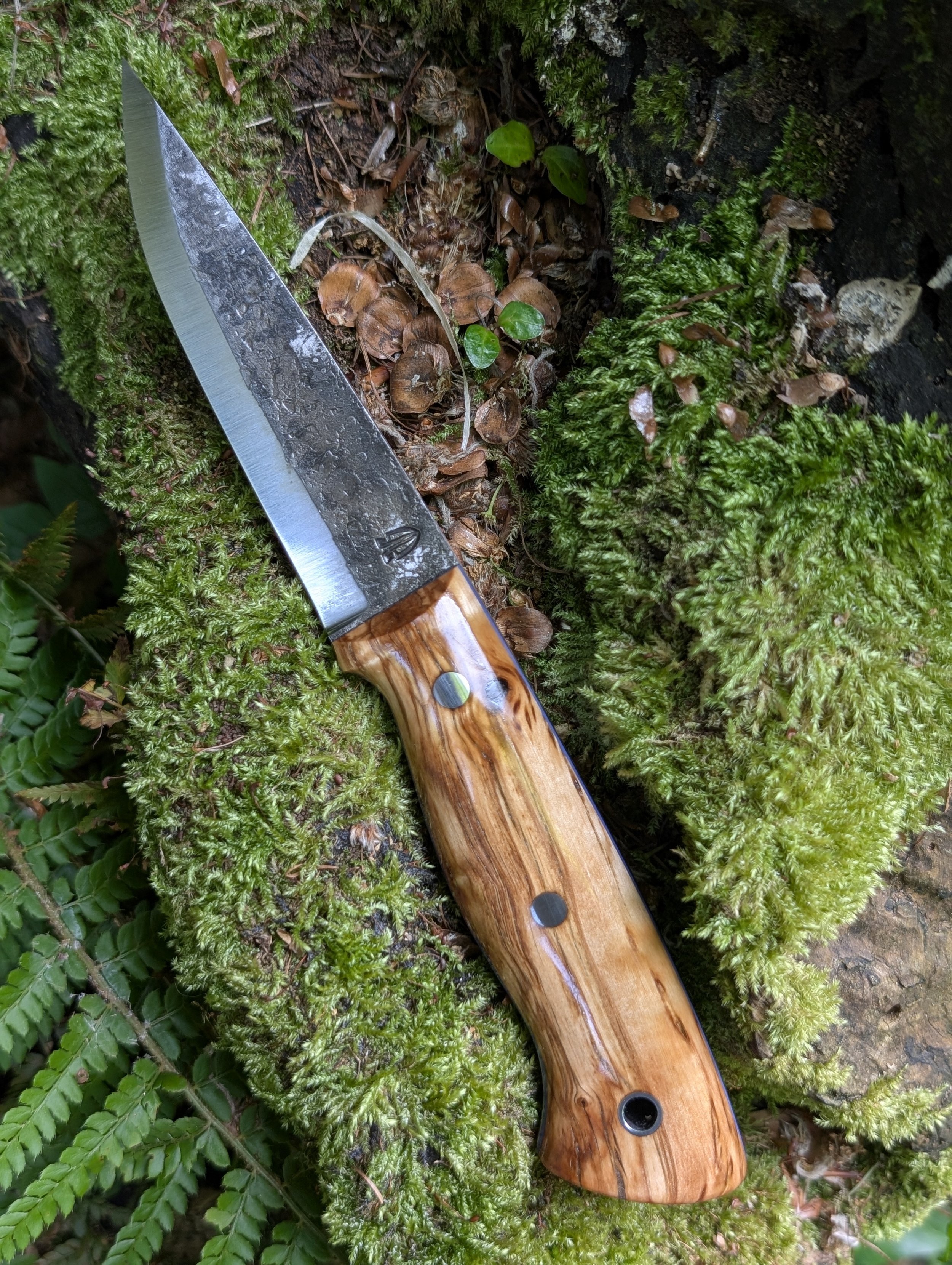 008 Masur Birch(3).jpg