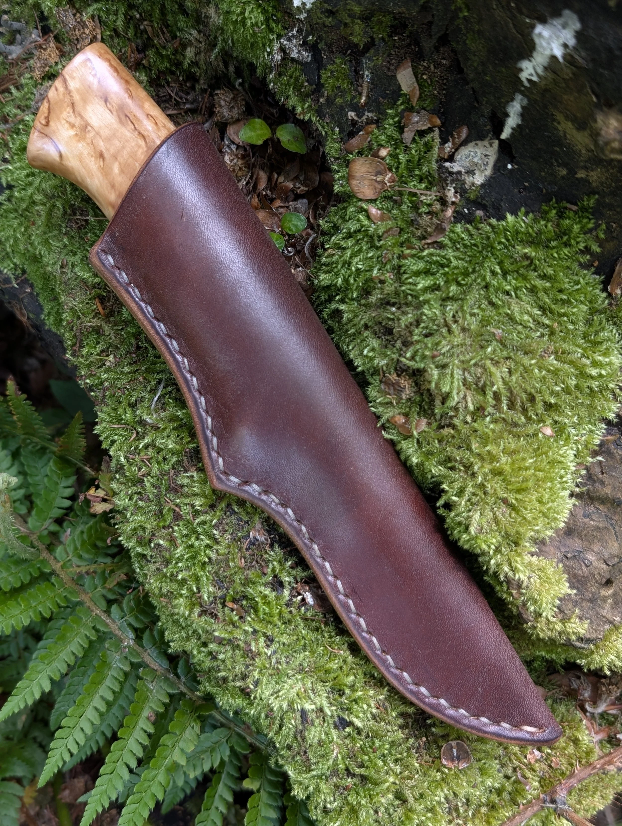 Masur Birch.jpg
