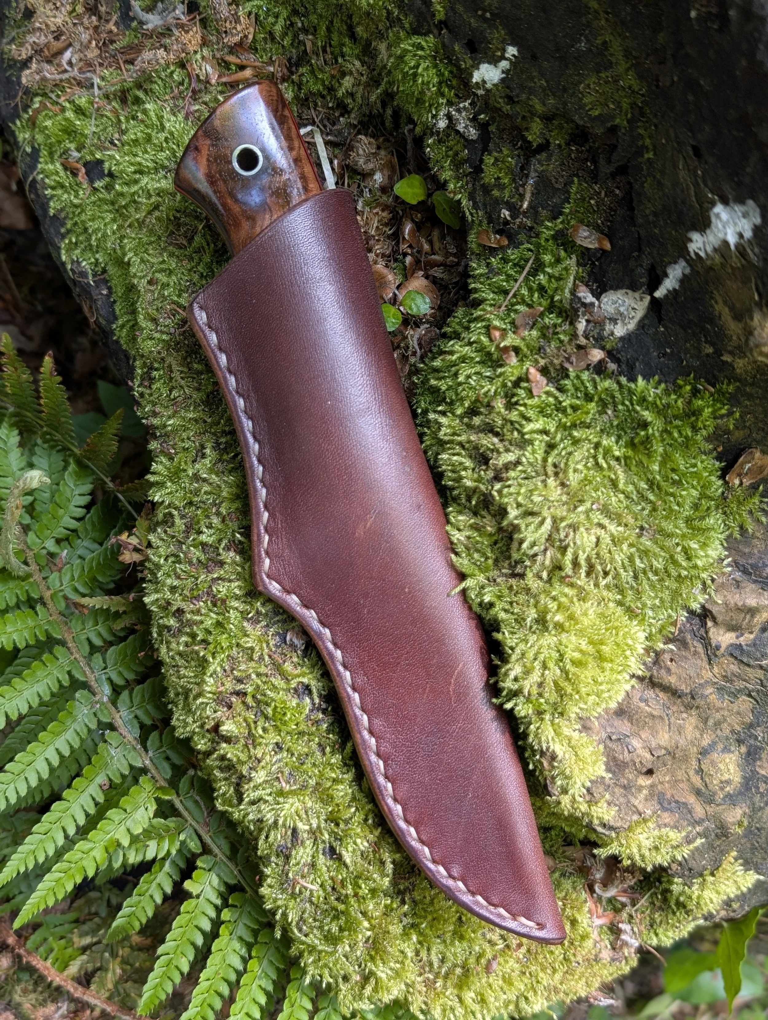 002 Antler and Walnut(2).jpg