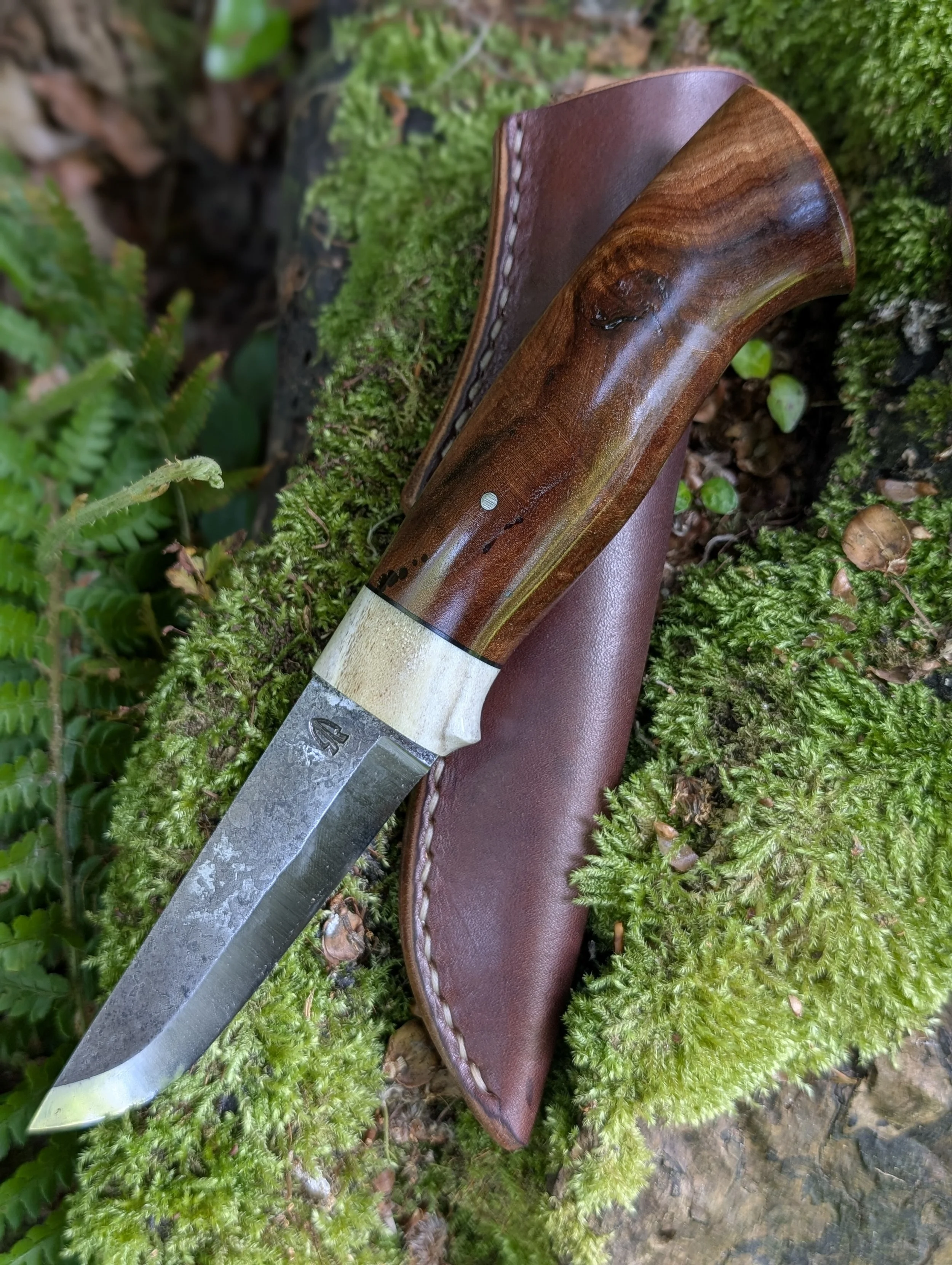 Antler and Elm 2(2).jpg