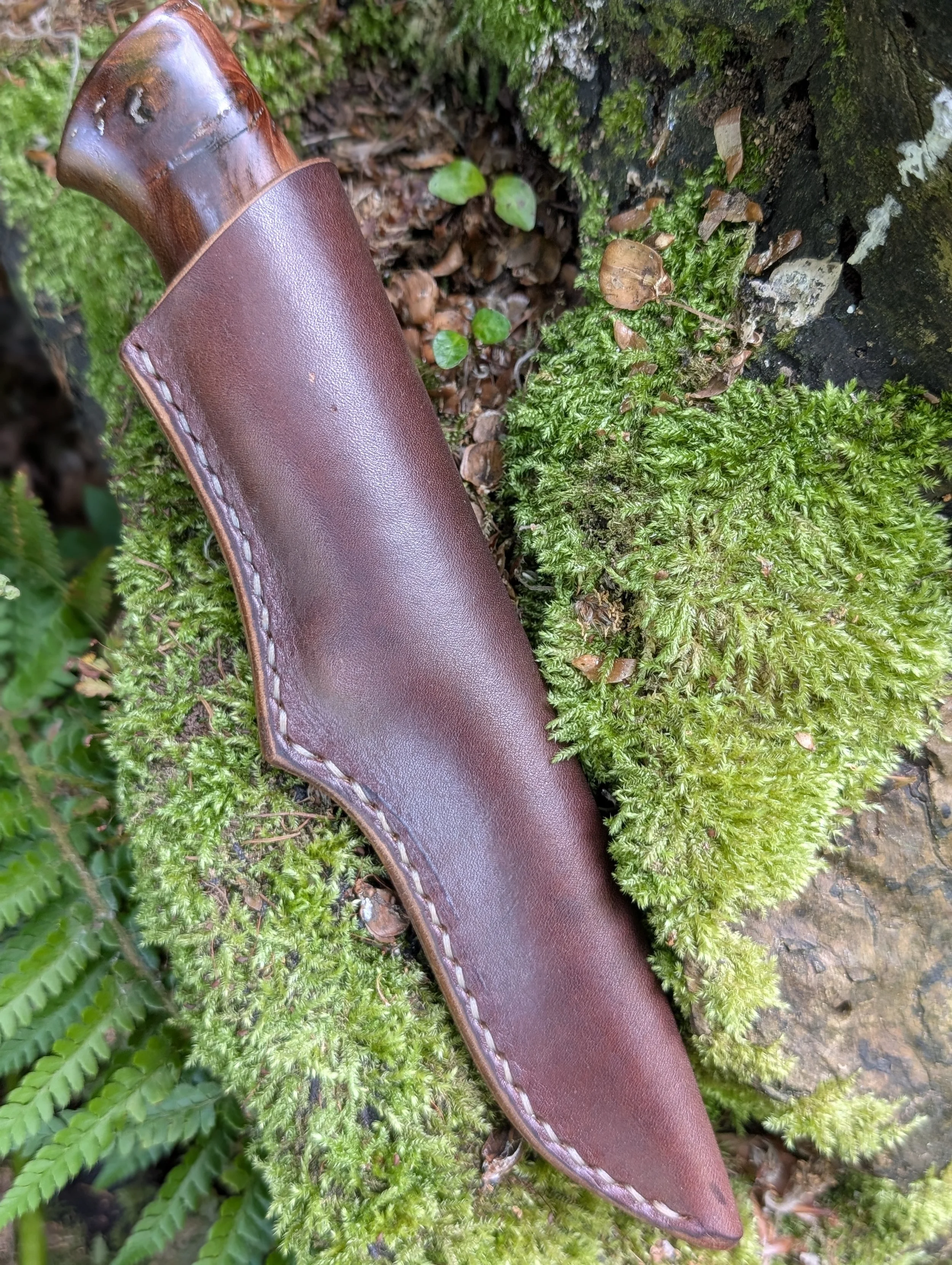 Antler and Elm 2(1).jpg