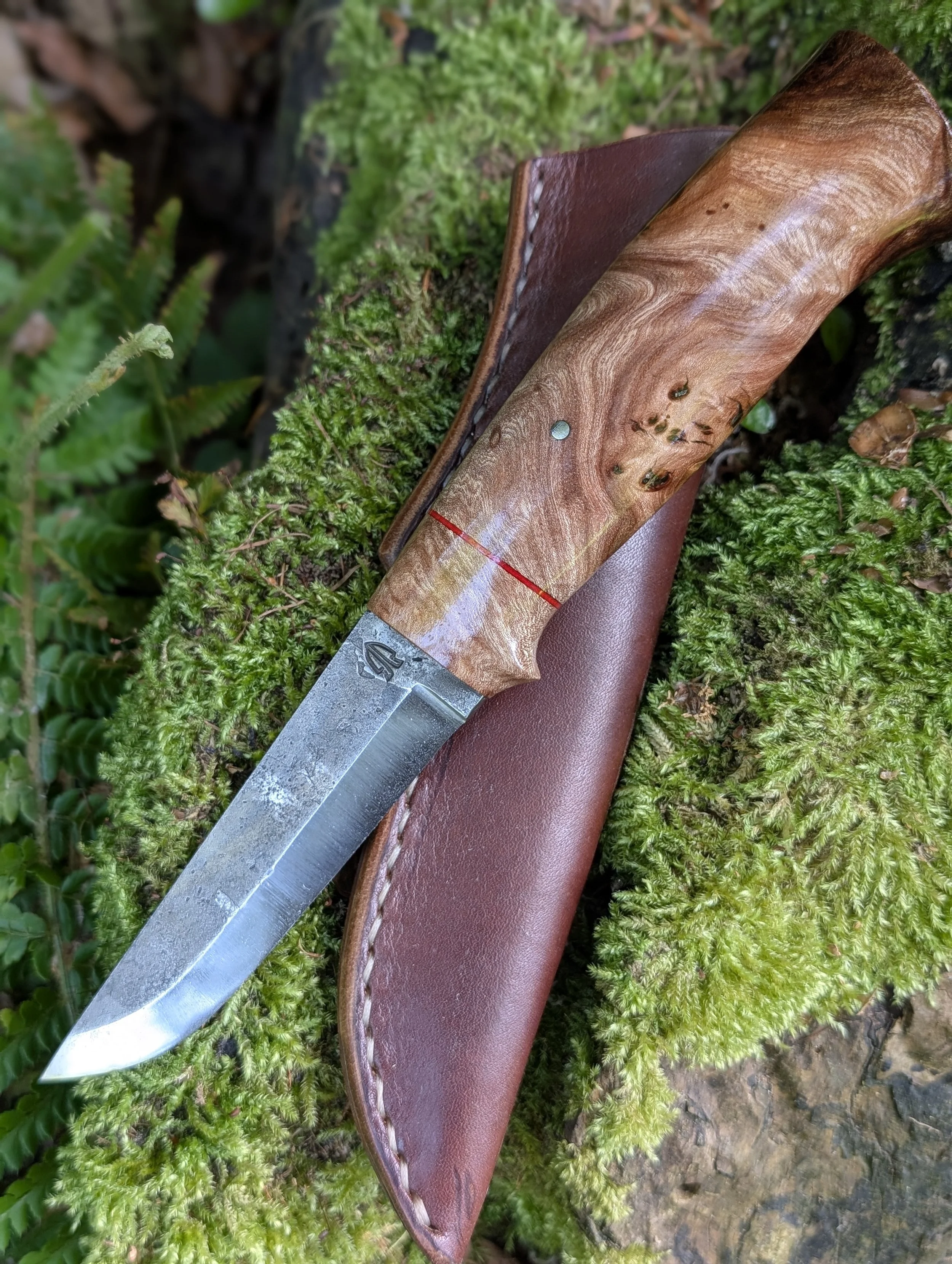 Elm(3).jpg