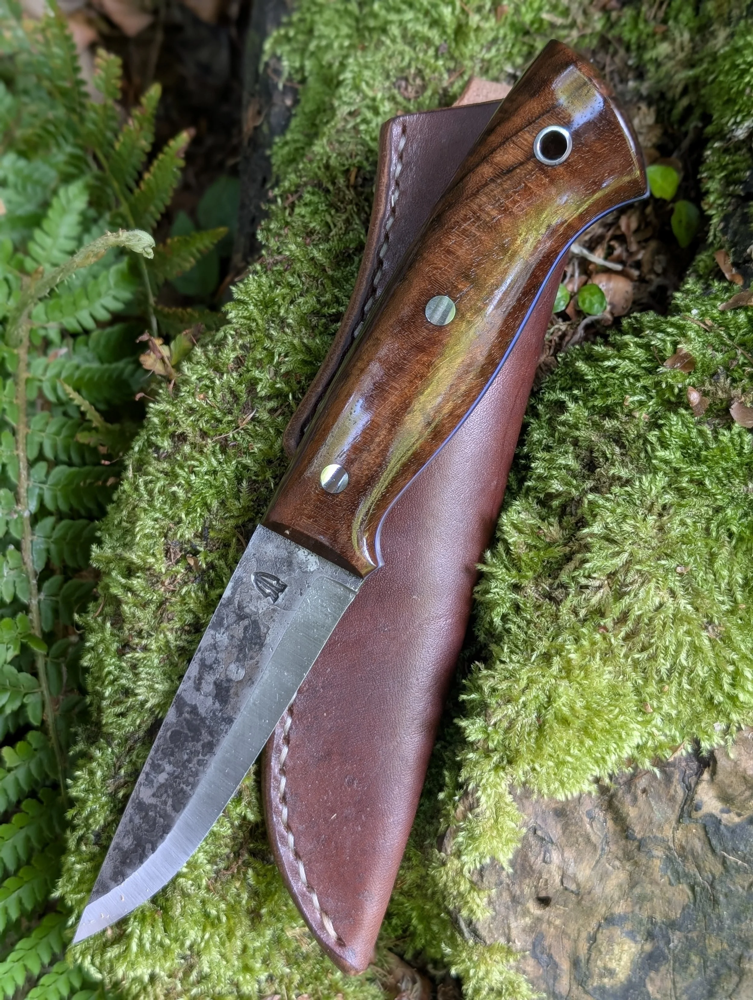 007 Walnut(1).jpg