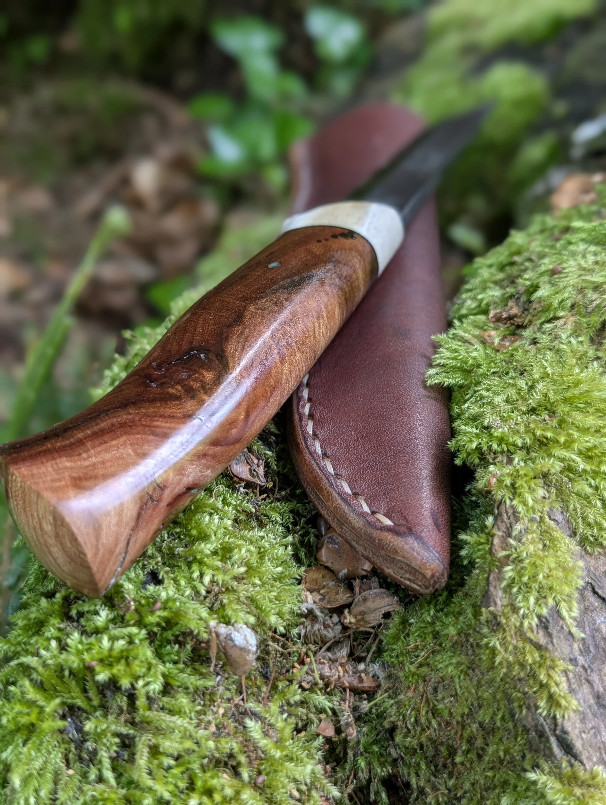 Antler and Elm 2(3).jpg
